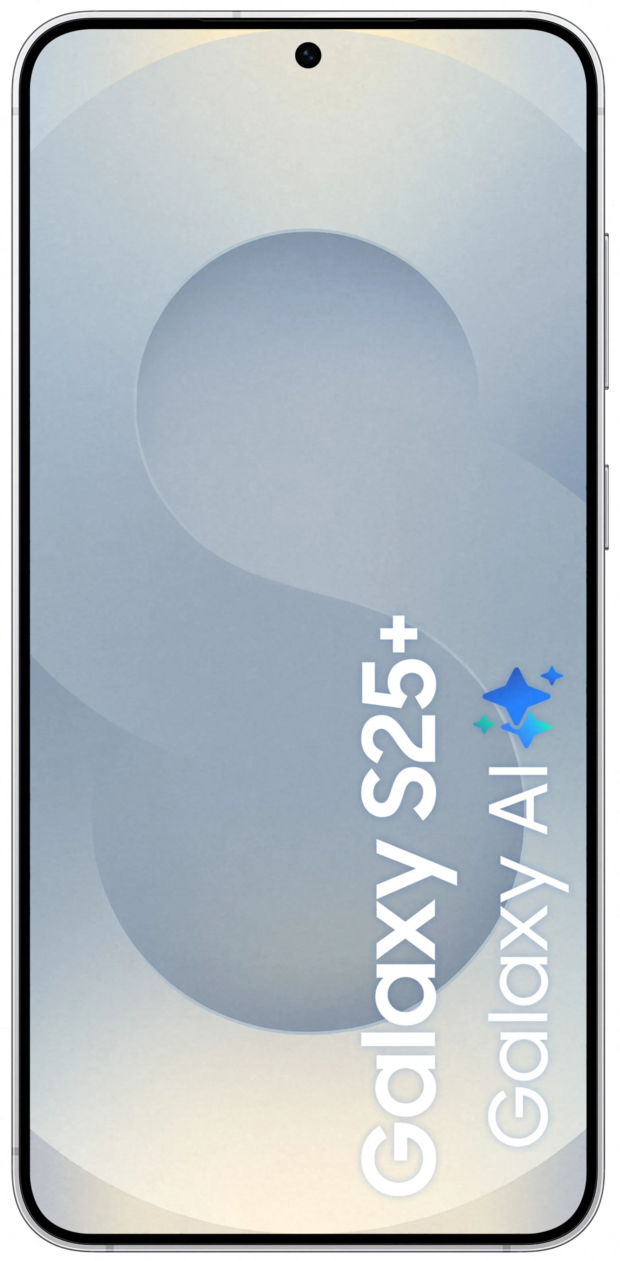 Samsung Smartphone Galaxy S25+ - 512GB - Silver Shadow image