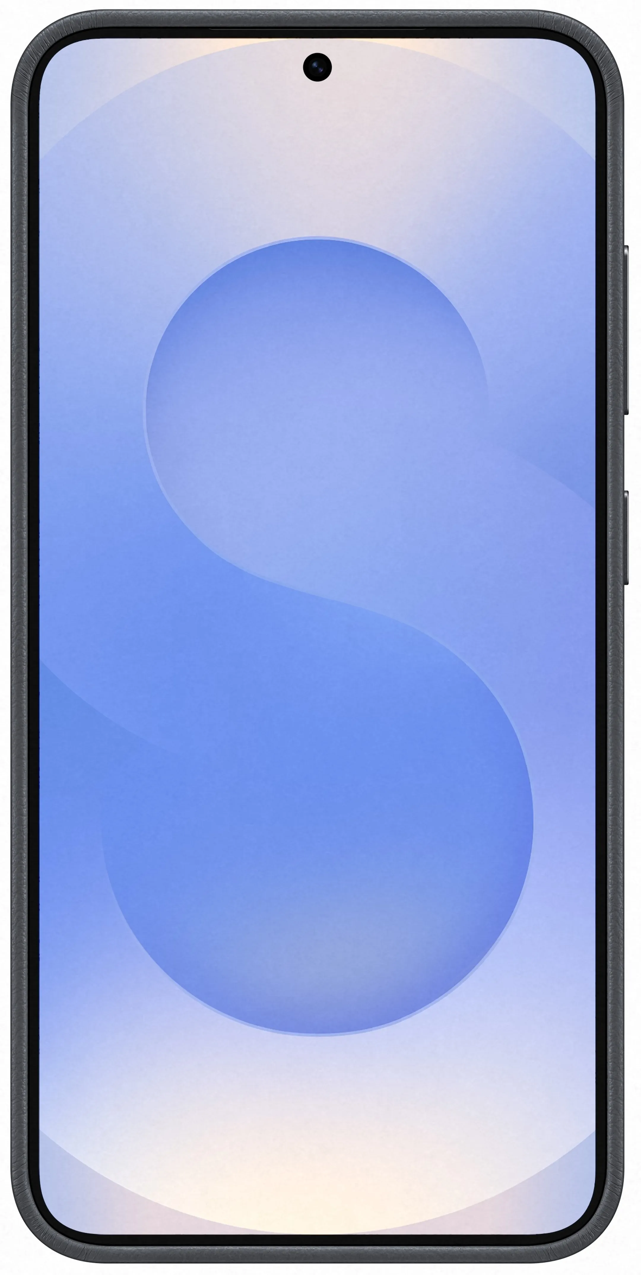 Samsung Kindsuit Case pour Galaxy S25 - Noir image