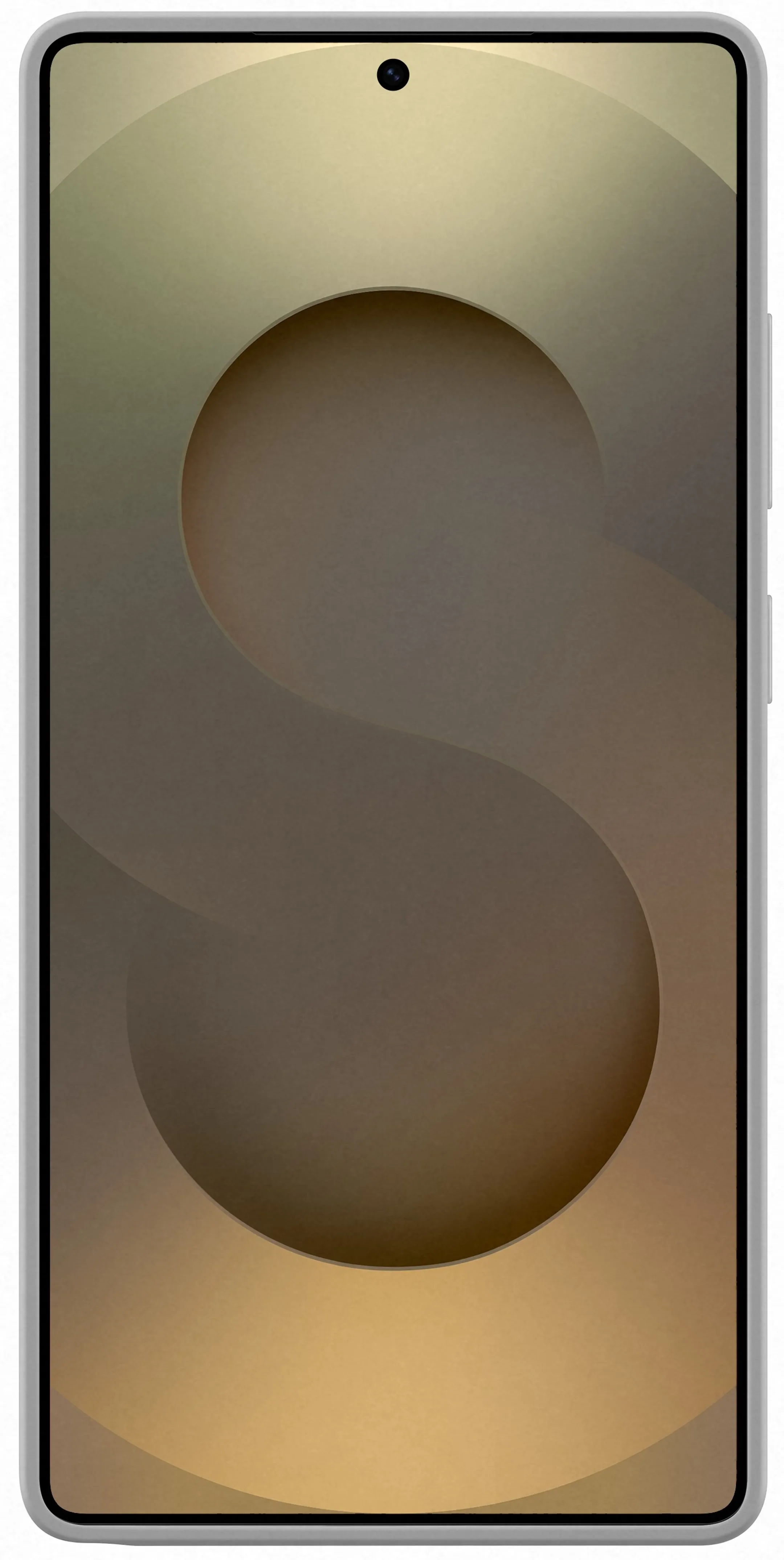 Samsung Silicone case for Galaxy S25 Ultra - Grey image