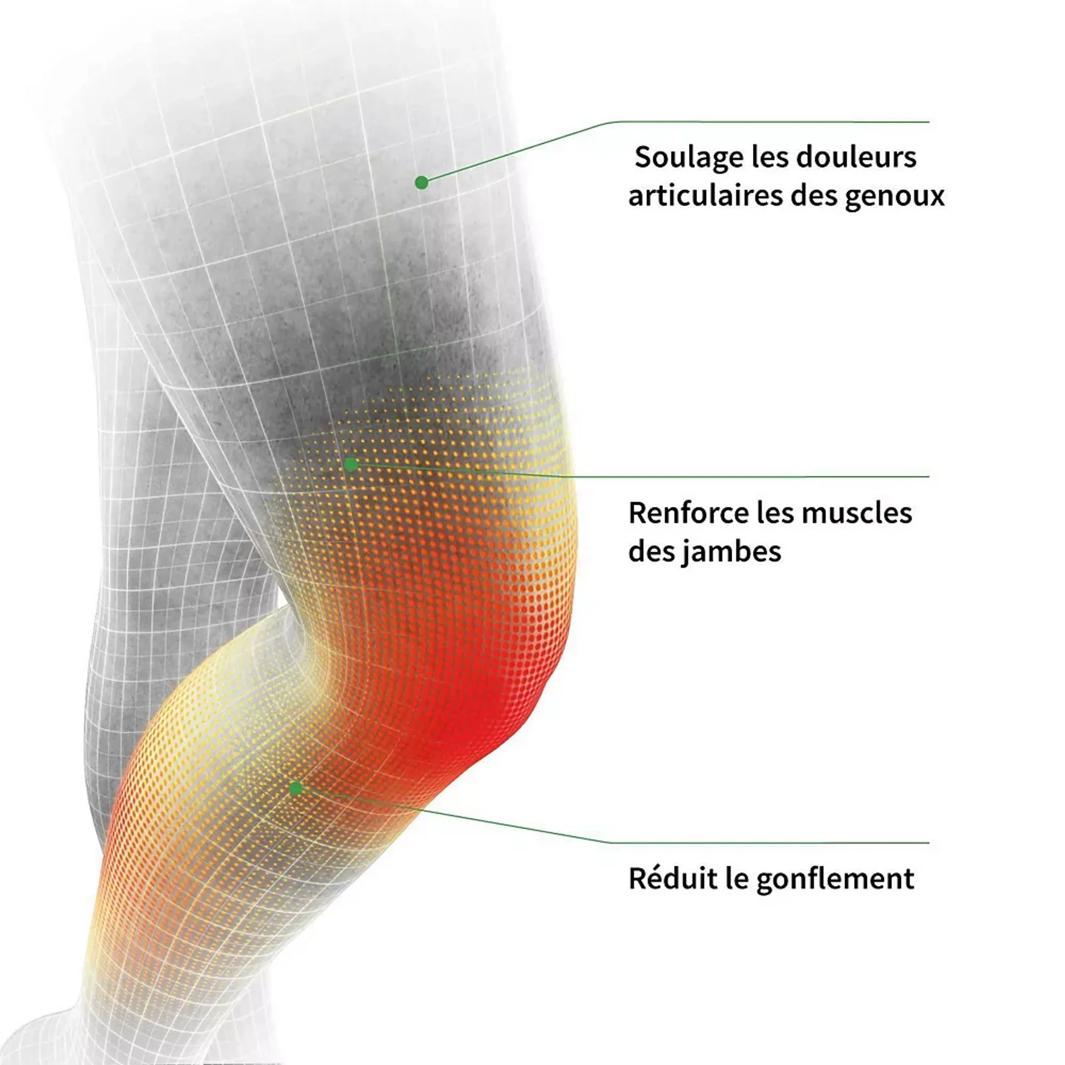 Revitive Stimulateur circulatoire Medic Genou image