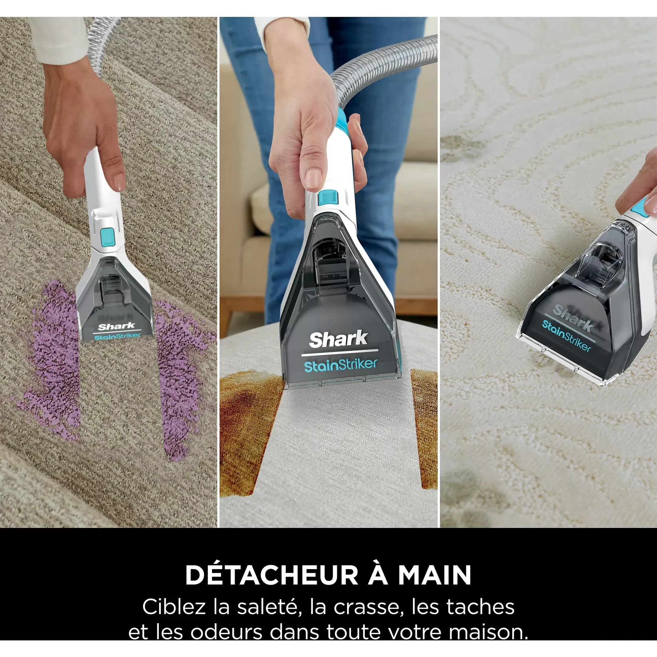 Shark Nettoyeur de tapis StainStricker PX200EUT image