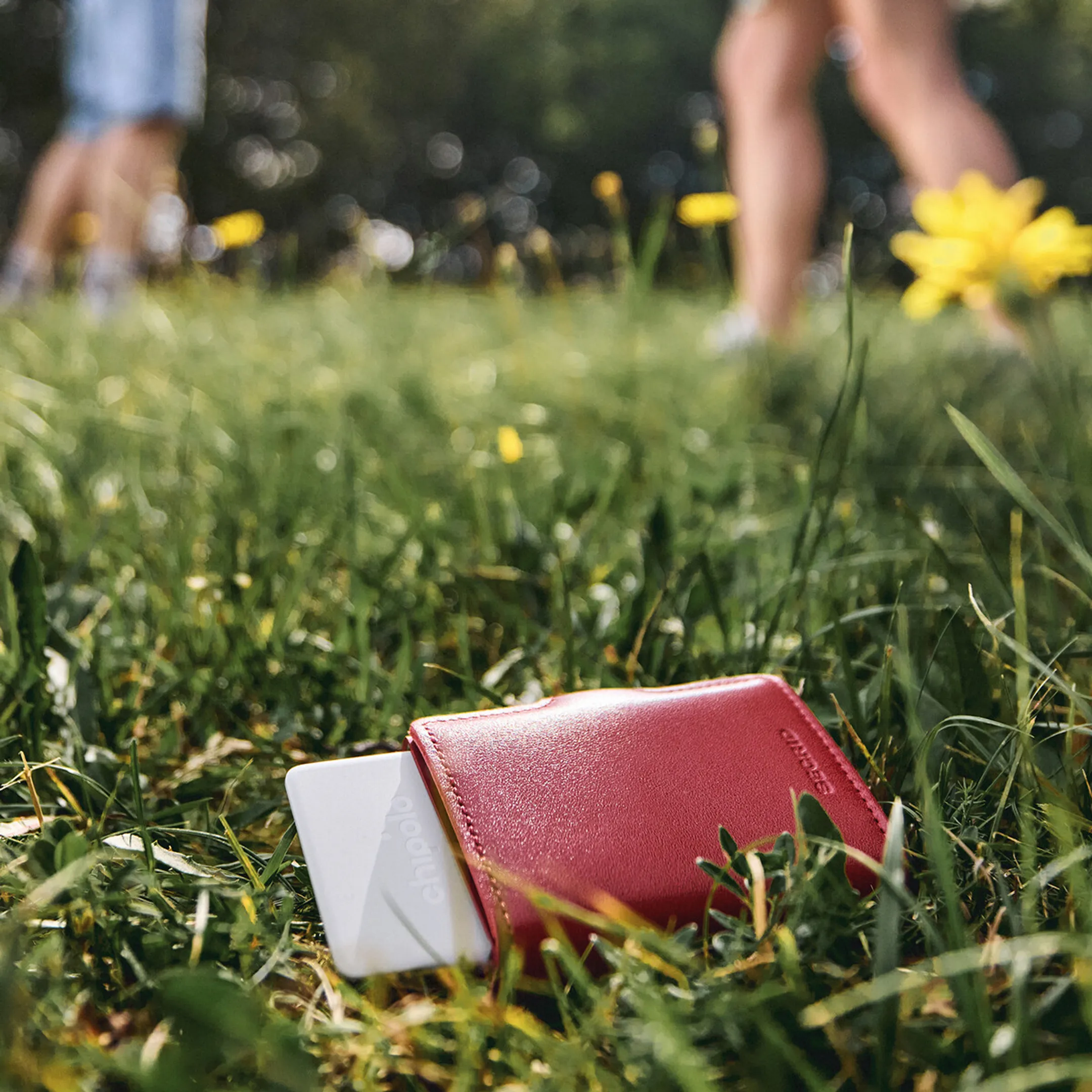 CHIPOLO Tracker Card Point - Android - White image