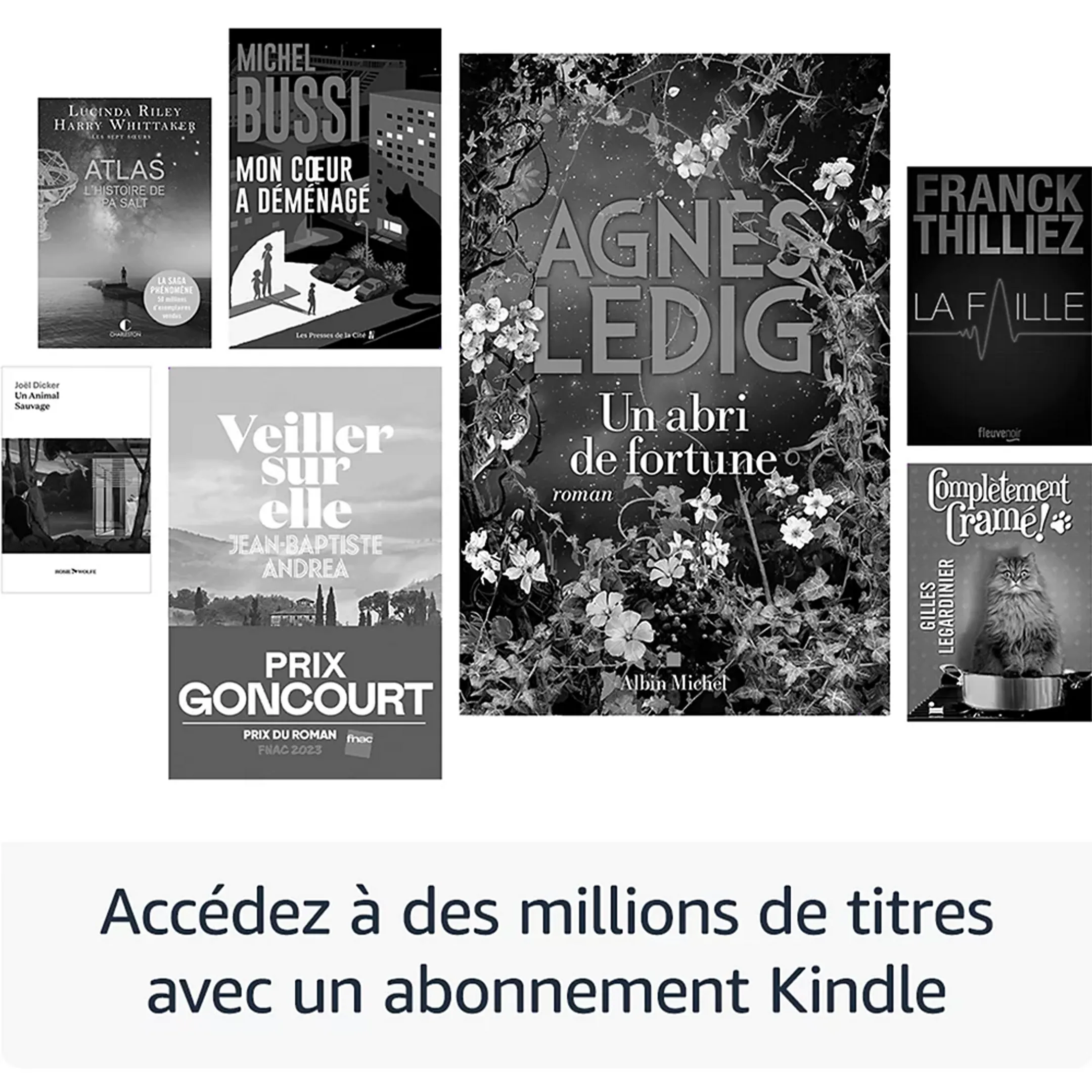 AMAZON Liseuse eBook Kindle Paperwhite - 16Go - Noir image