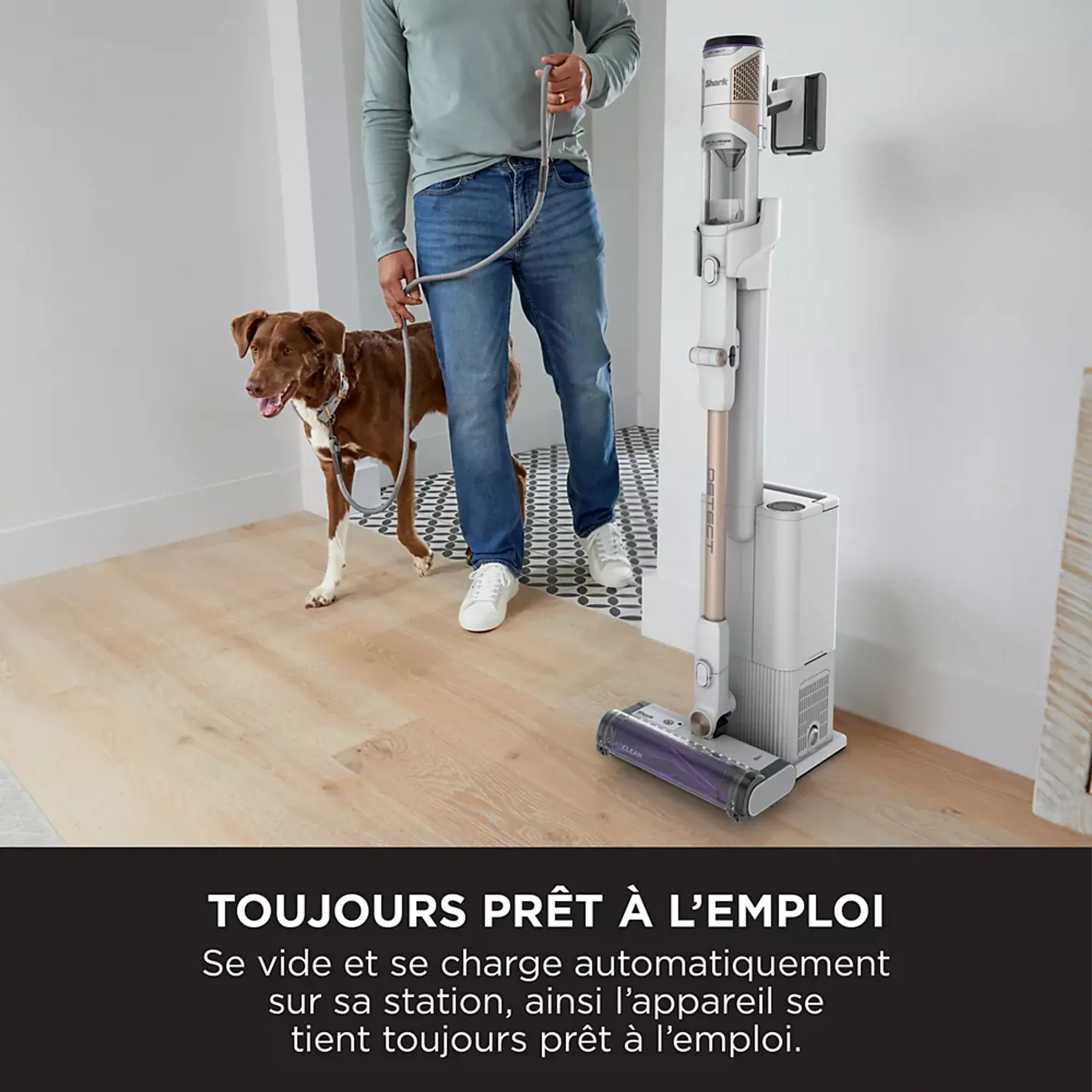Shark Aspirateur balai Detect Clean avec base automatique IW3612EU image