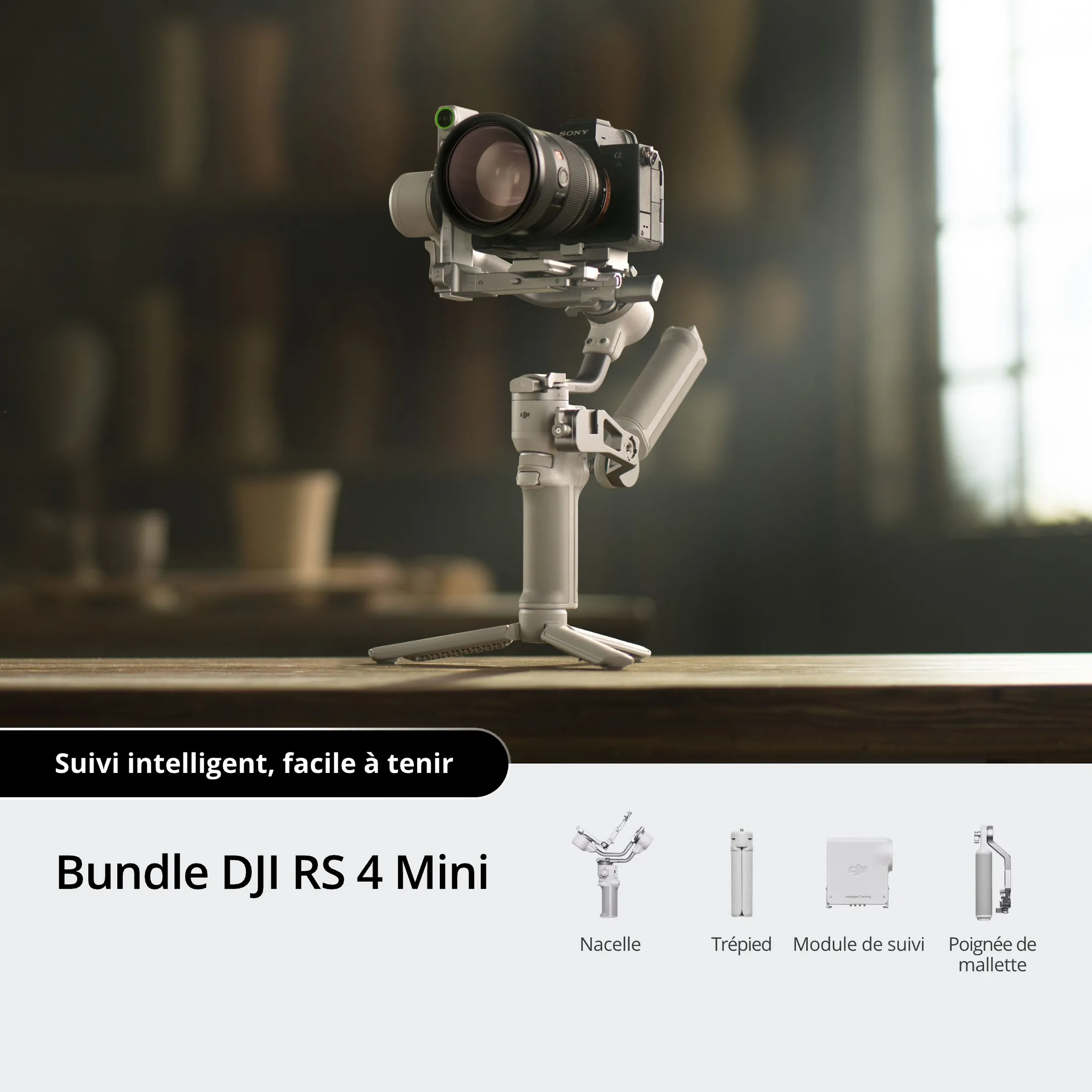 DJI Stabilisateur RS 4 Mini Bundle image