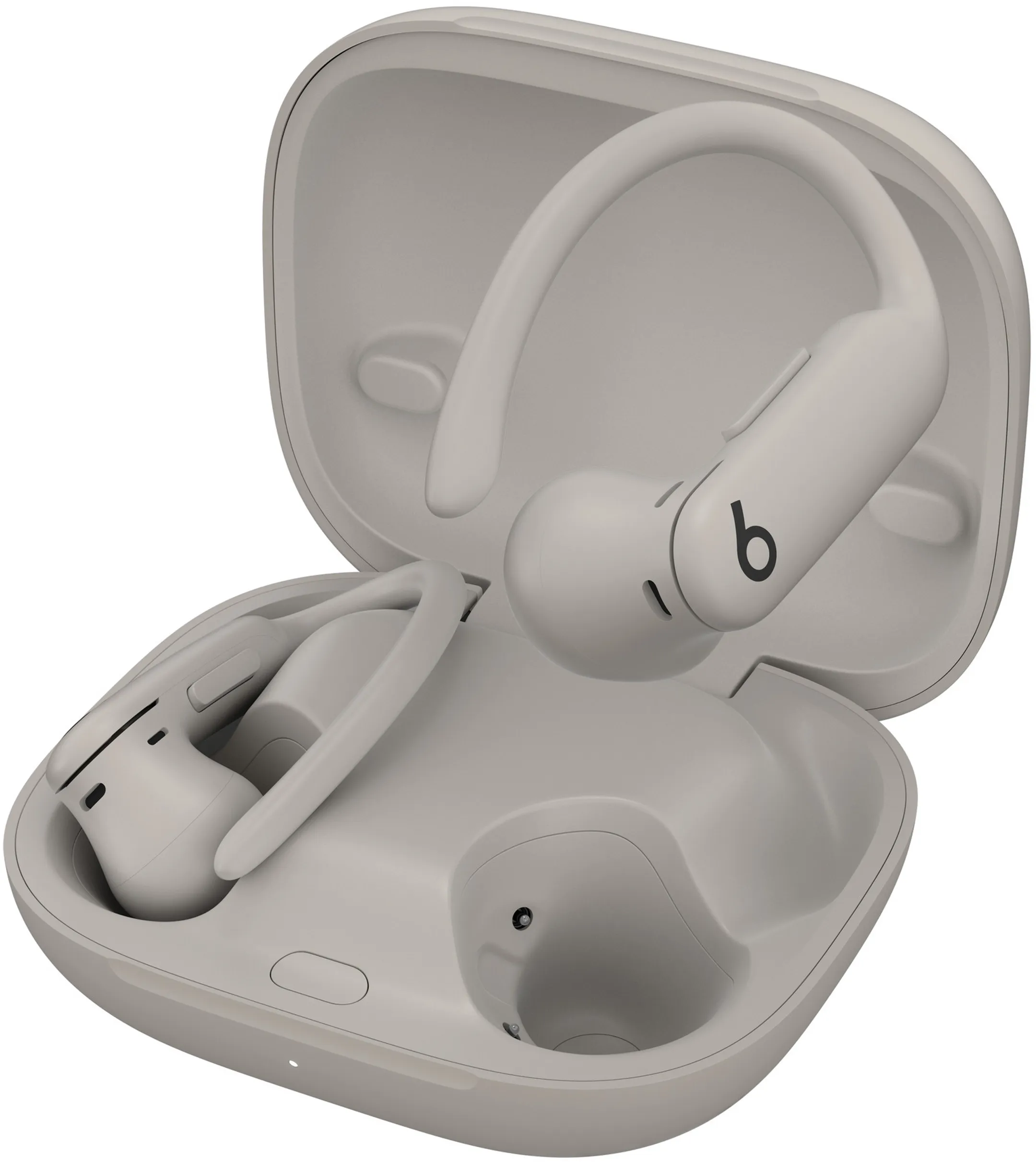 Apple Wireless earphones Powerbeats Pro 2 - Quick Sand image