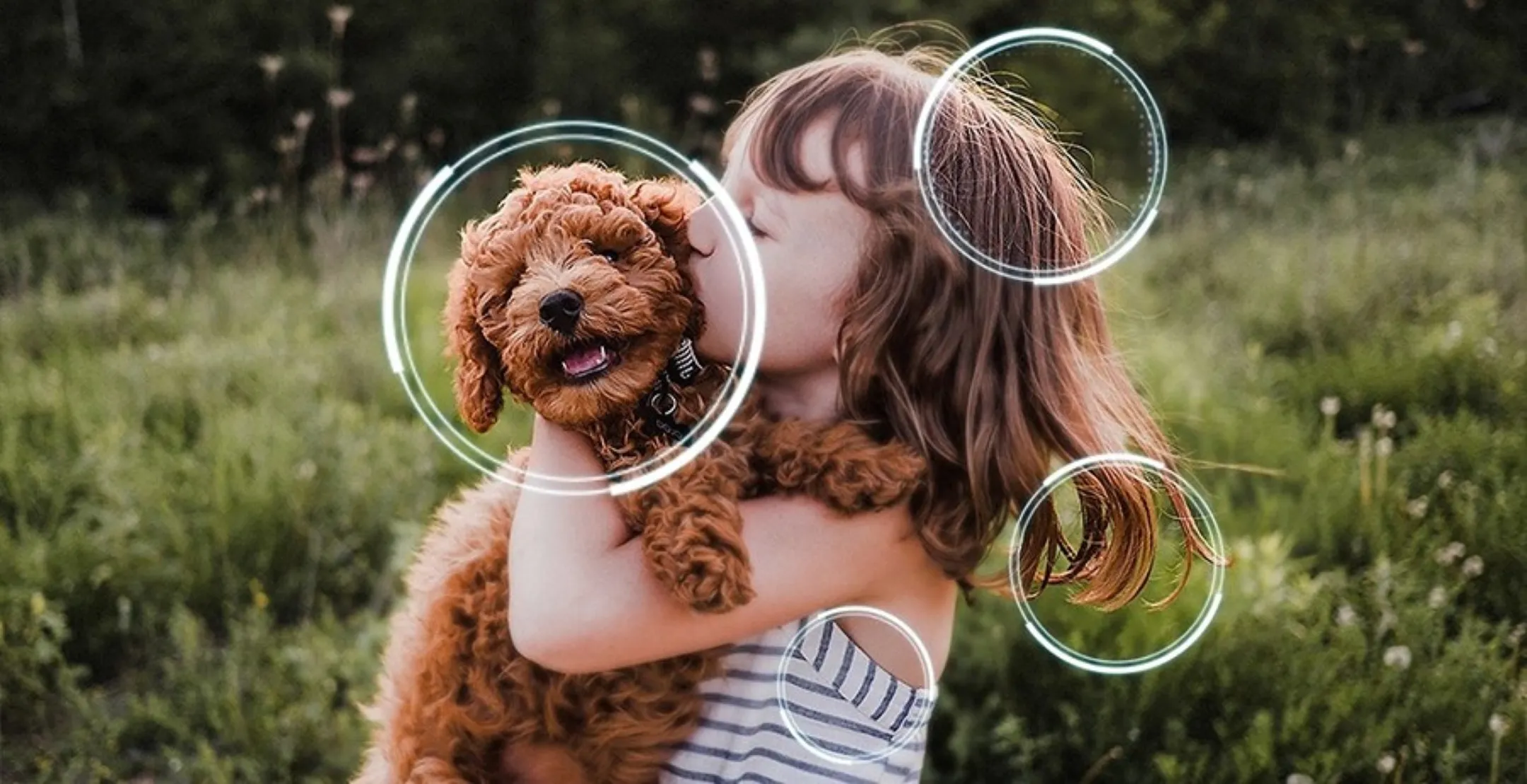 Samsung TV OLED 4K QE83S90FAEXXN - 83 inches image