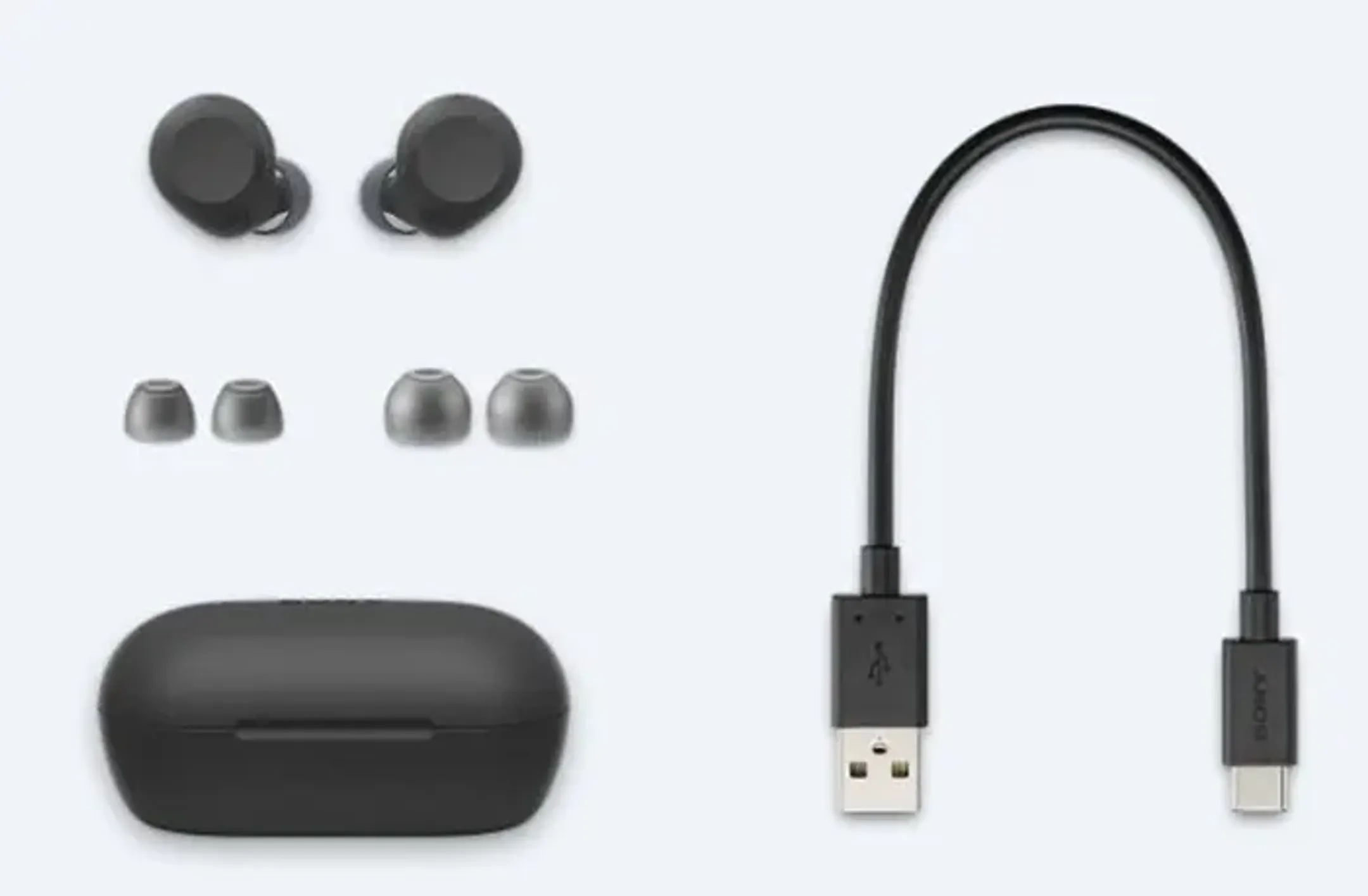 Sony Écouteurs sans fil WF-C710N - Noir image