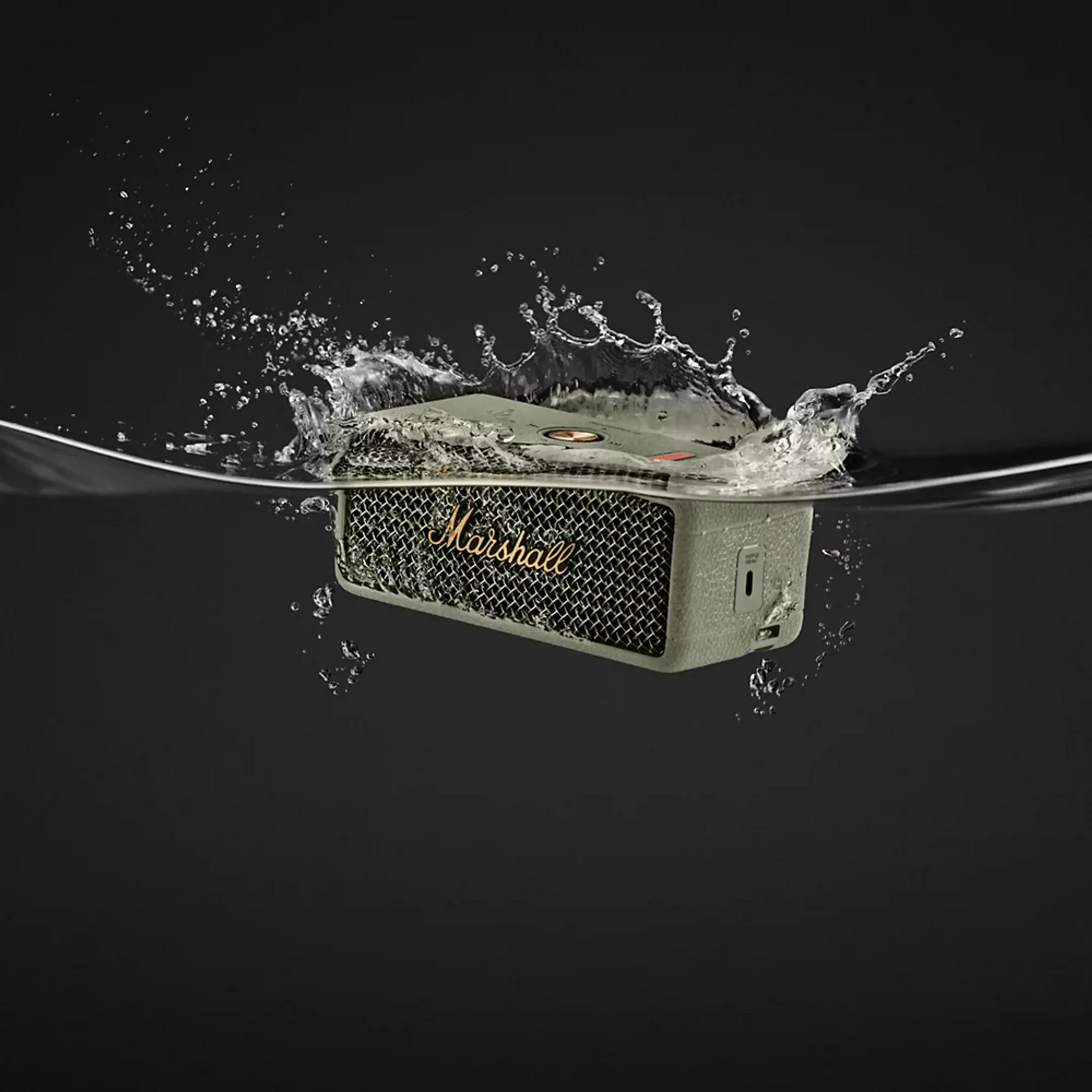 Marshall Bluetooth speaker Emberton III - Sage image