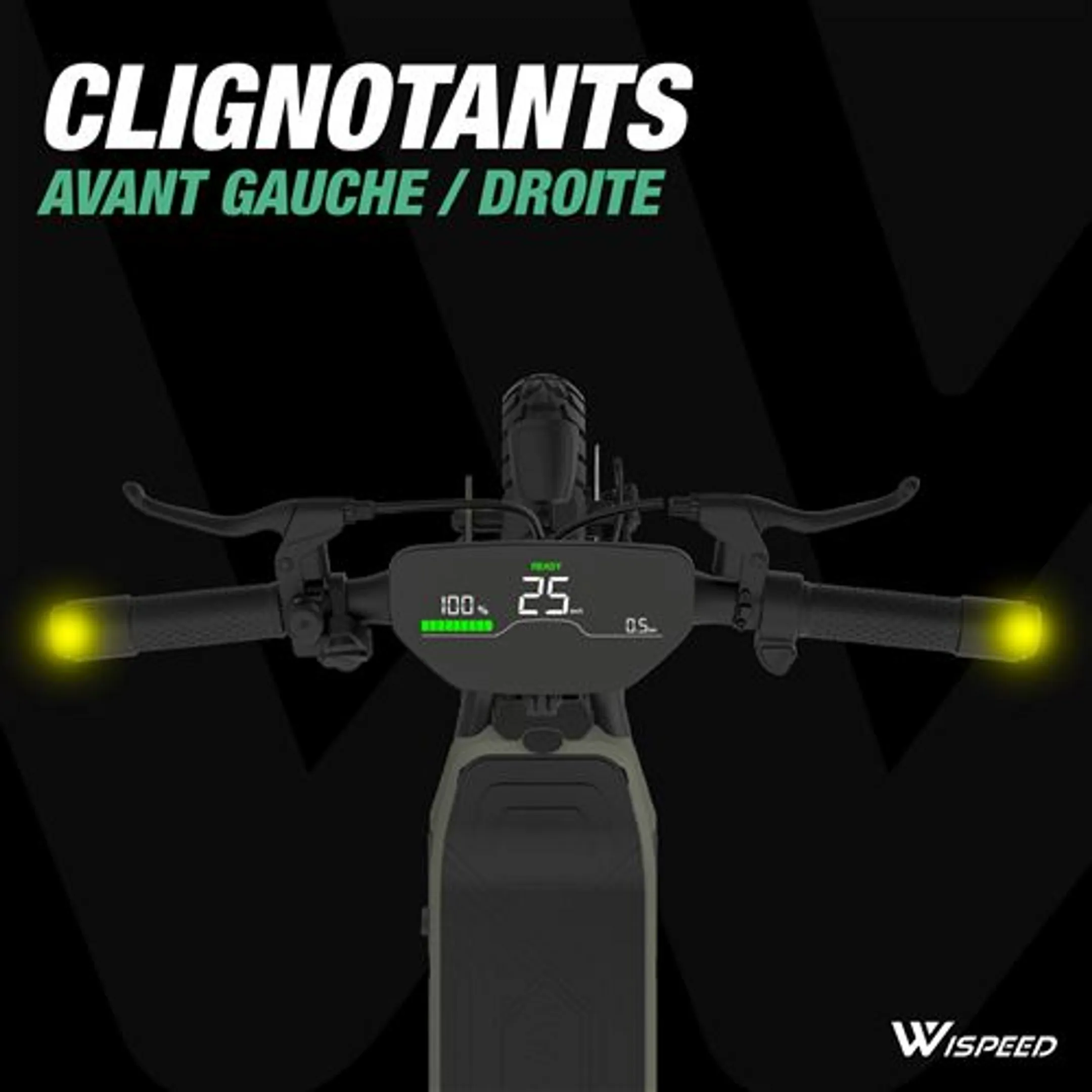 WISPEED Trottinette électrique Suvpilot 480 - Kaki image