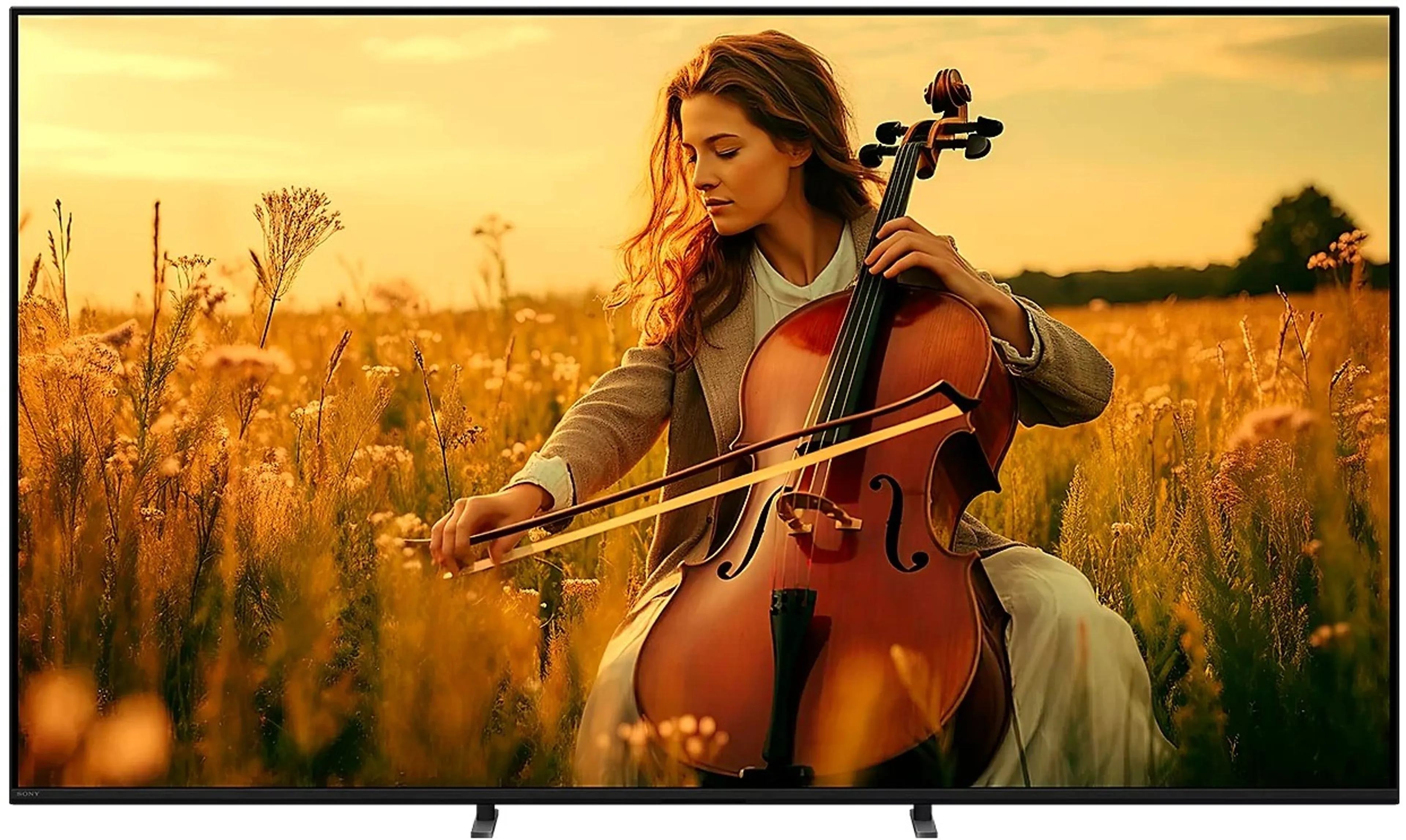 TV Mini LED 4K BRAVIA 5 K75XR59 - 75 pouces