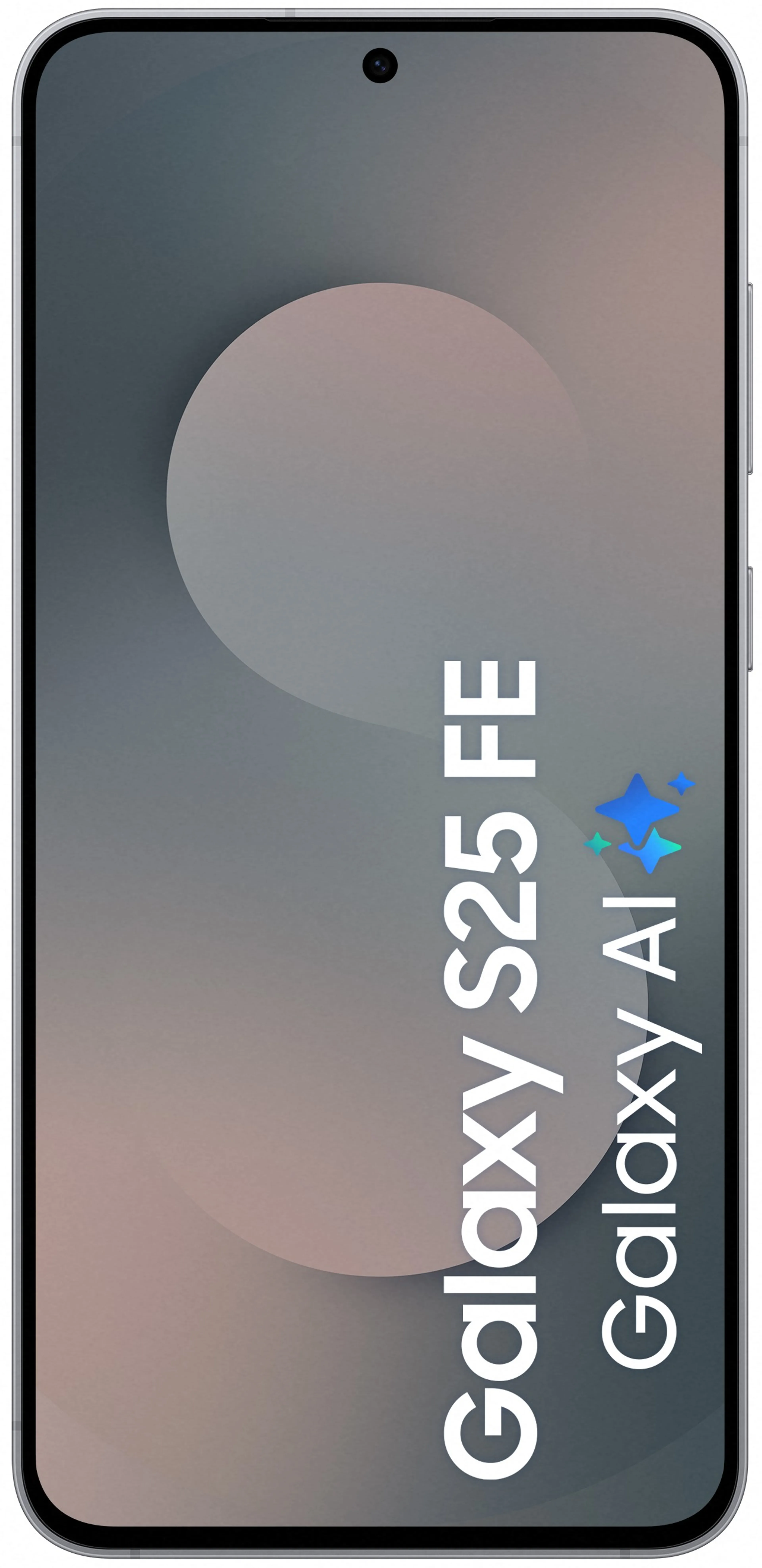 Samsung Smartphone Galaxy S25 FE - 256GB - Black image