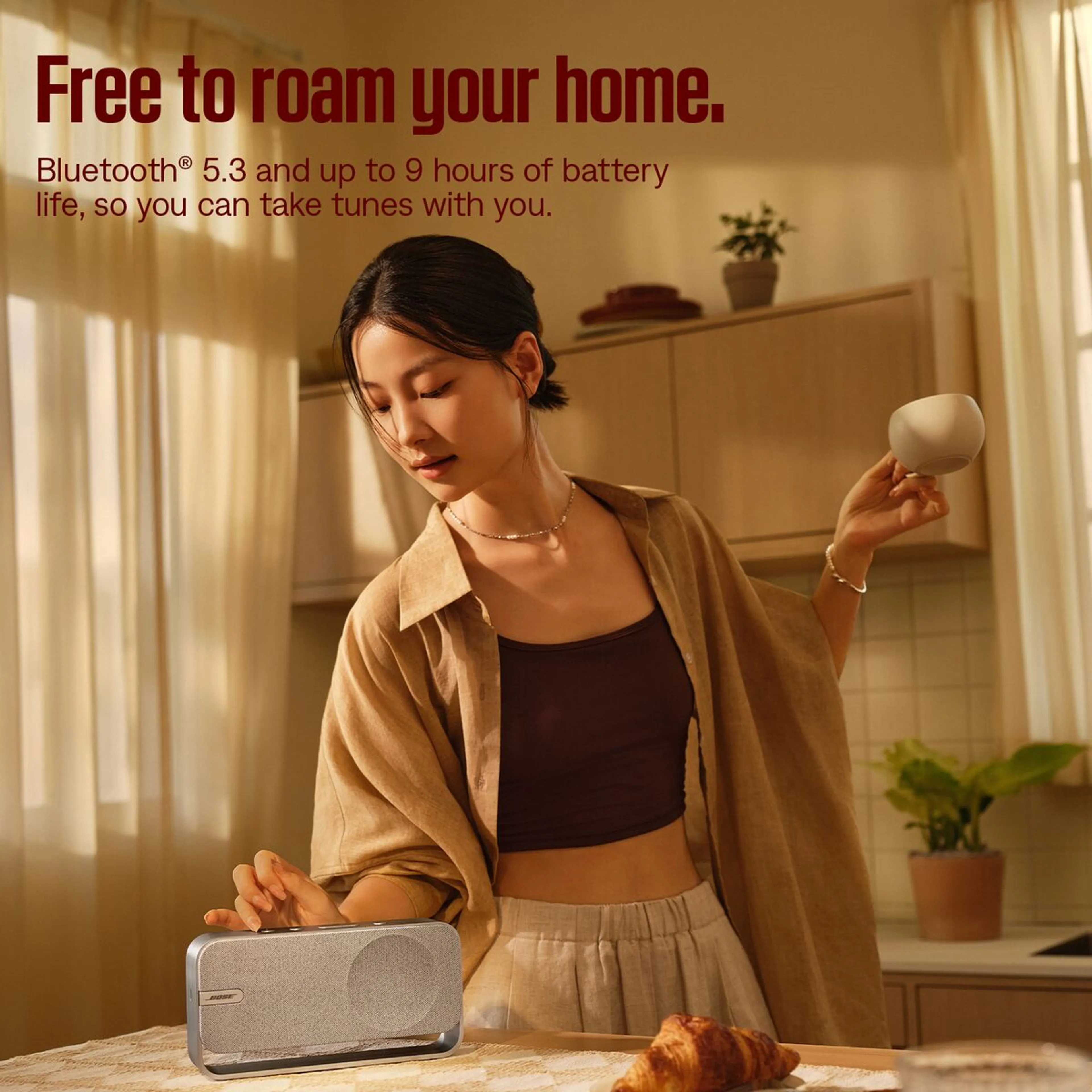 Bose Bluetooth Speaker Soundlink Home - Light Silver image