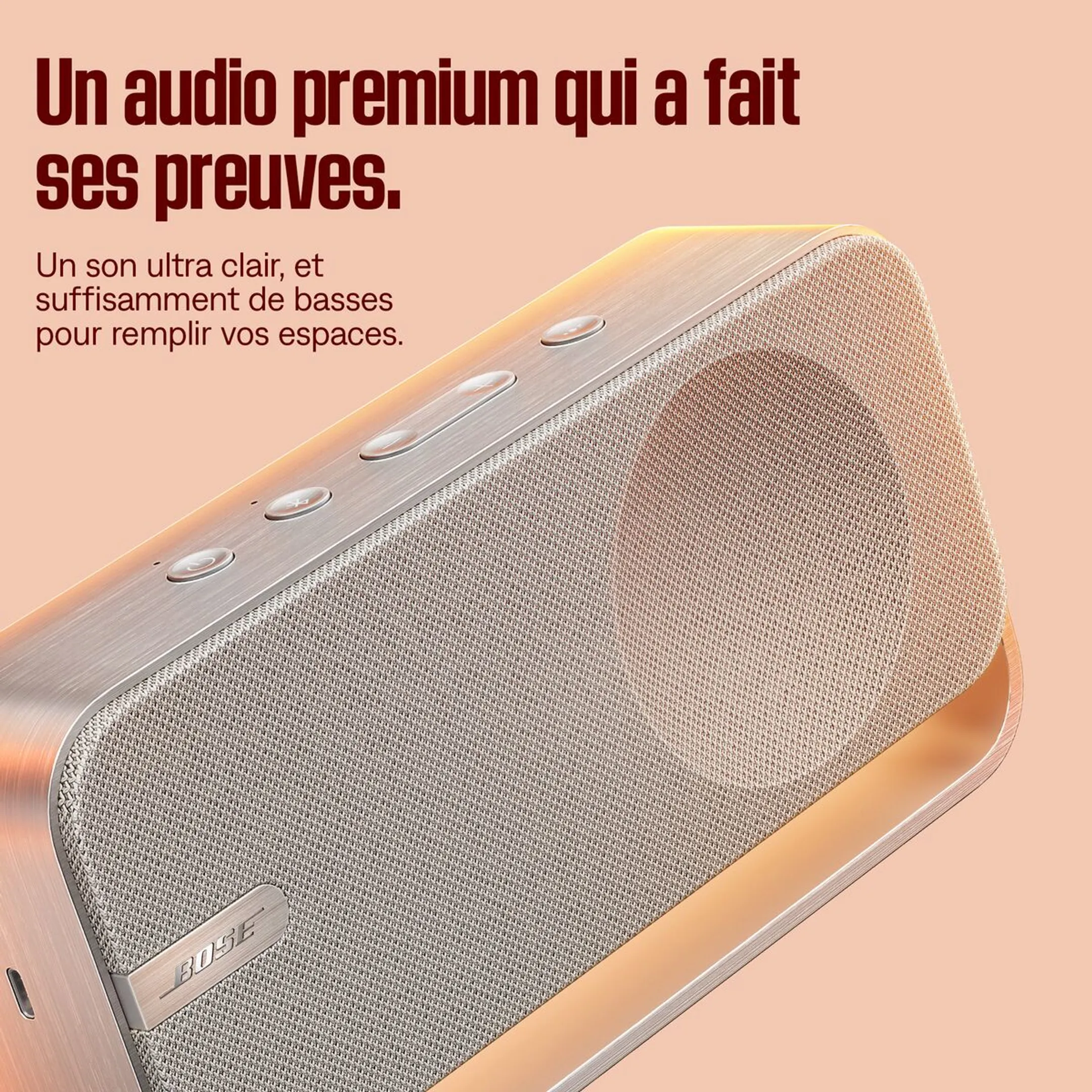 Bose Enceinte Bluetooth Soundlink Home - Argent clair image