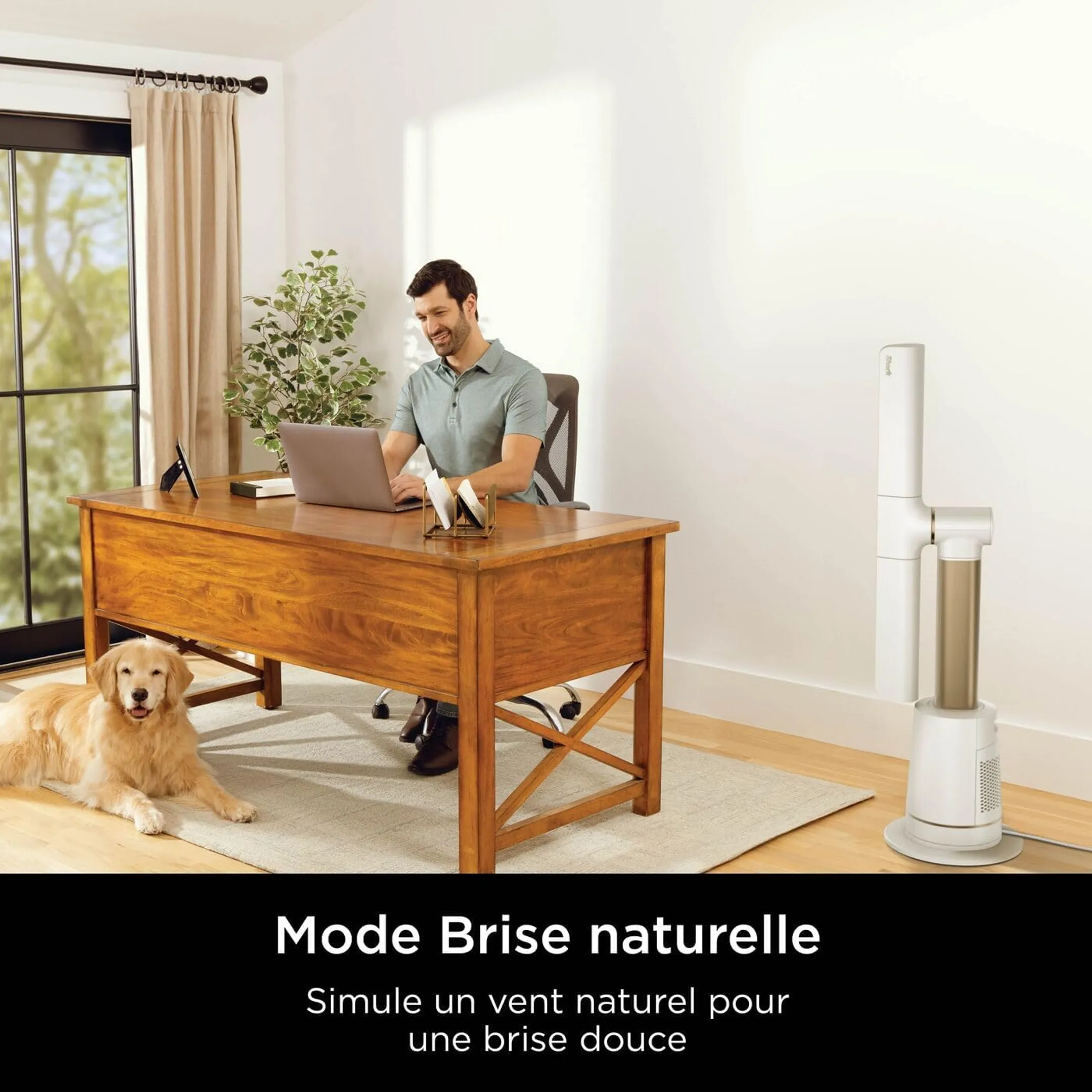 Shark Ventilateur multidirectionnel TurboBlade TF200SEUWH image