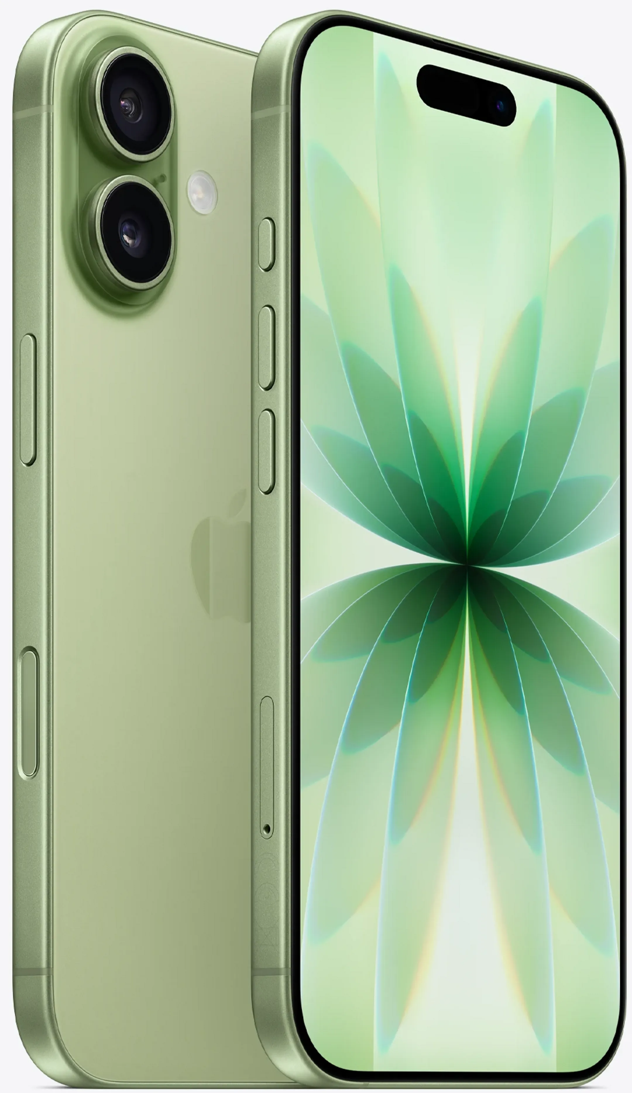 Apple iPhone 17 - 256Go - Sauge image