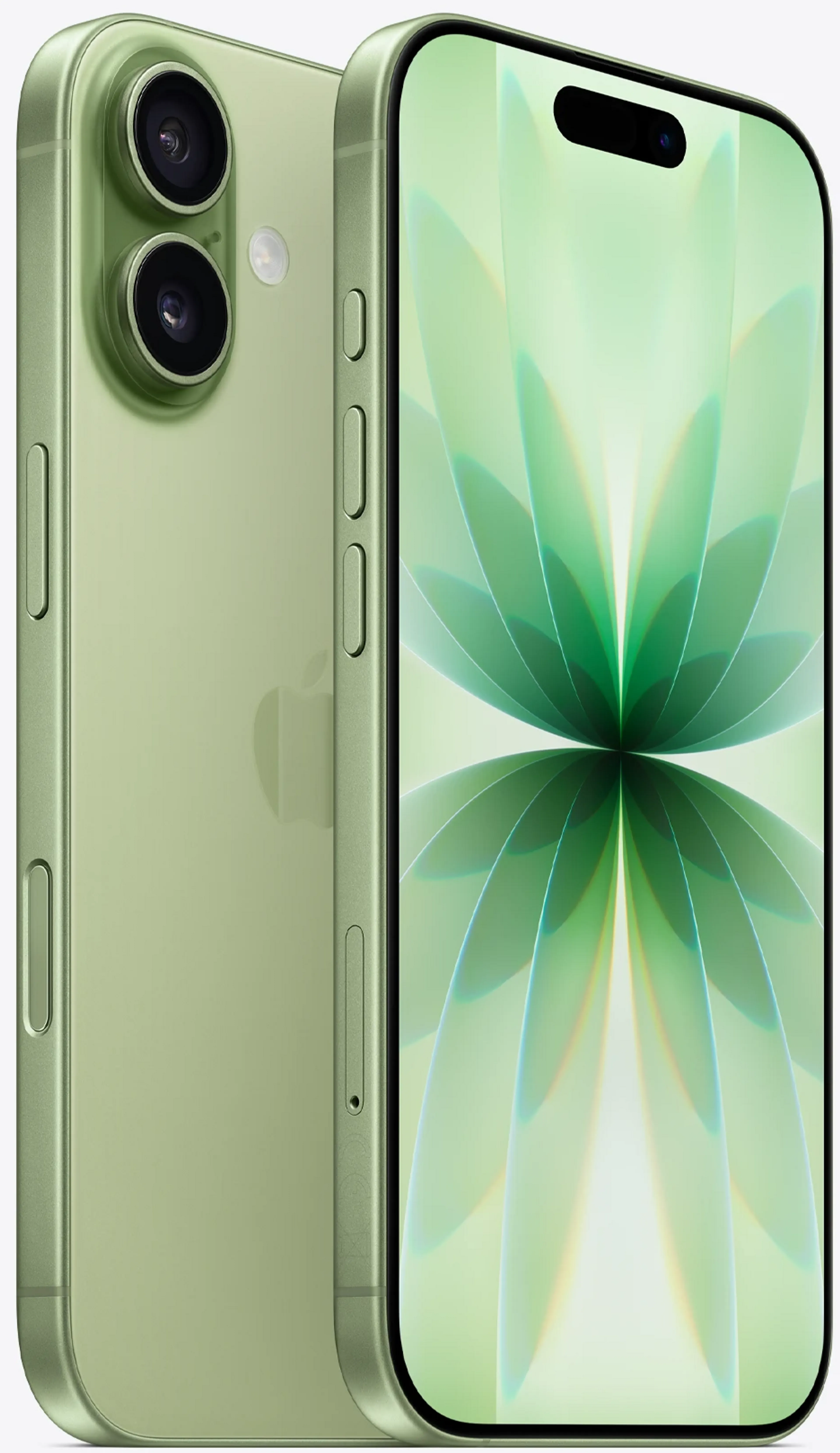 Apple iPhone 17 - 256Go - Sauge image