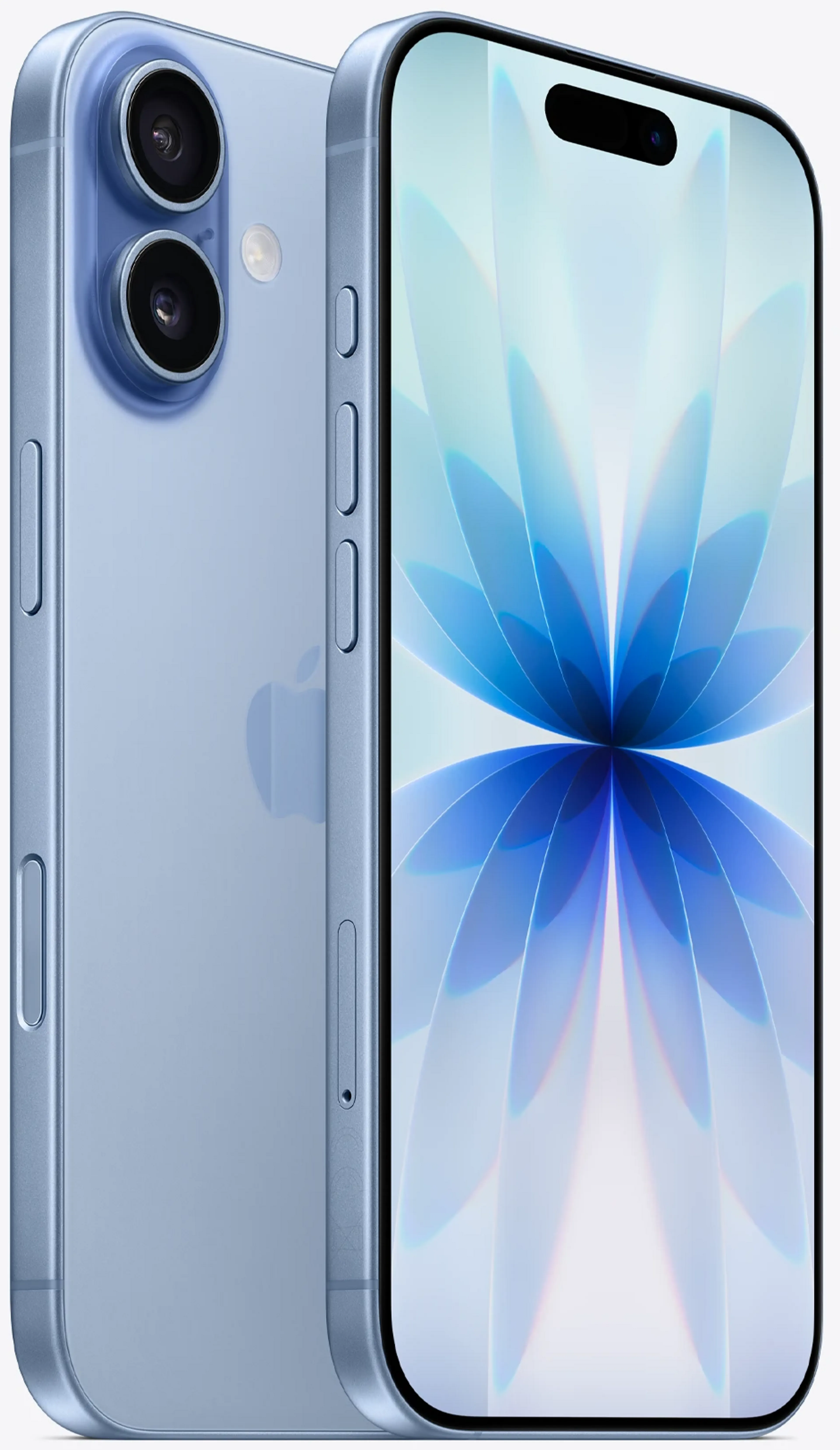 Apple iPhone 17 - 256Go - Bleu image
