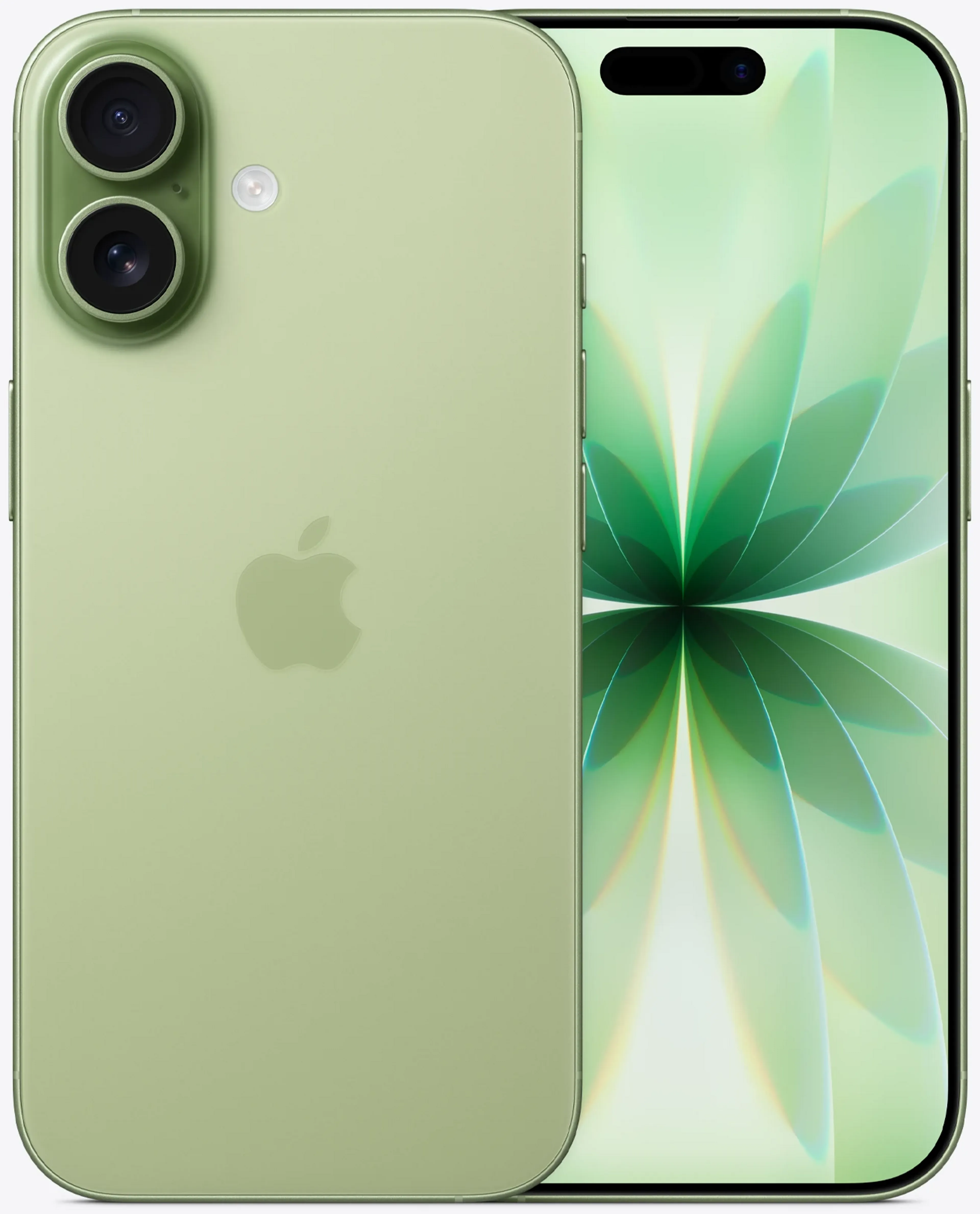 iPhone 17 - 512Go - Sauge