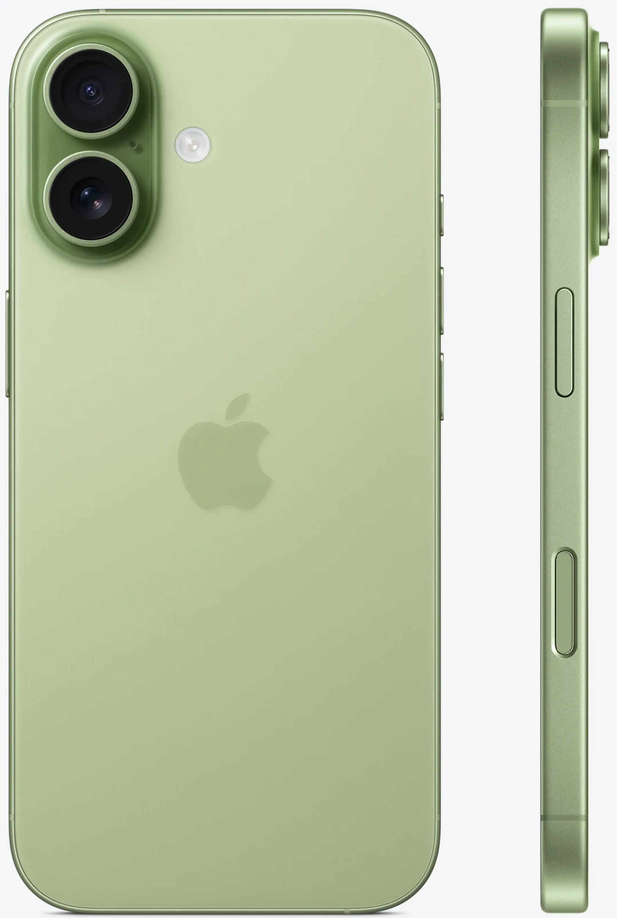 Apple iPhone 17 - 512Go - Sauge image