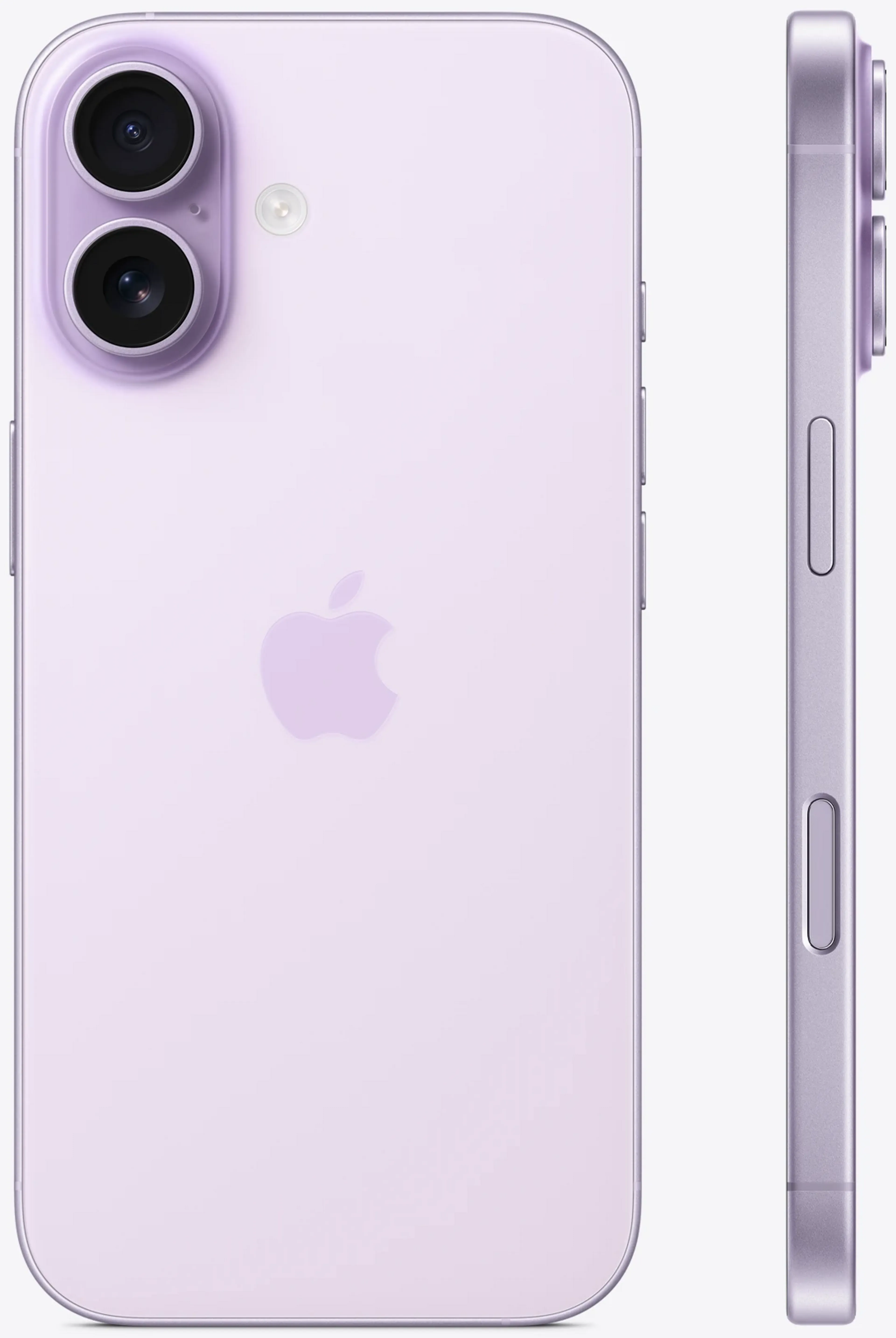 Apple iPhone 17 - 512Go - Lavande image