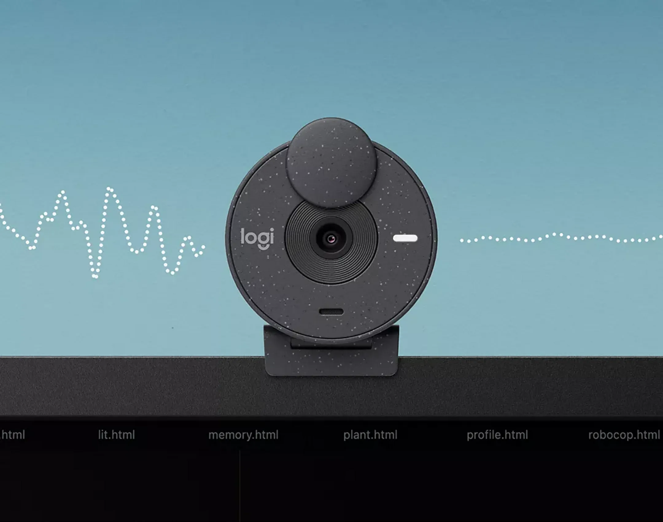 Logitech Webcam FHD Brio 300 - Noir image