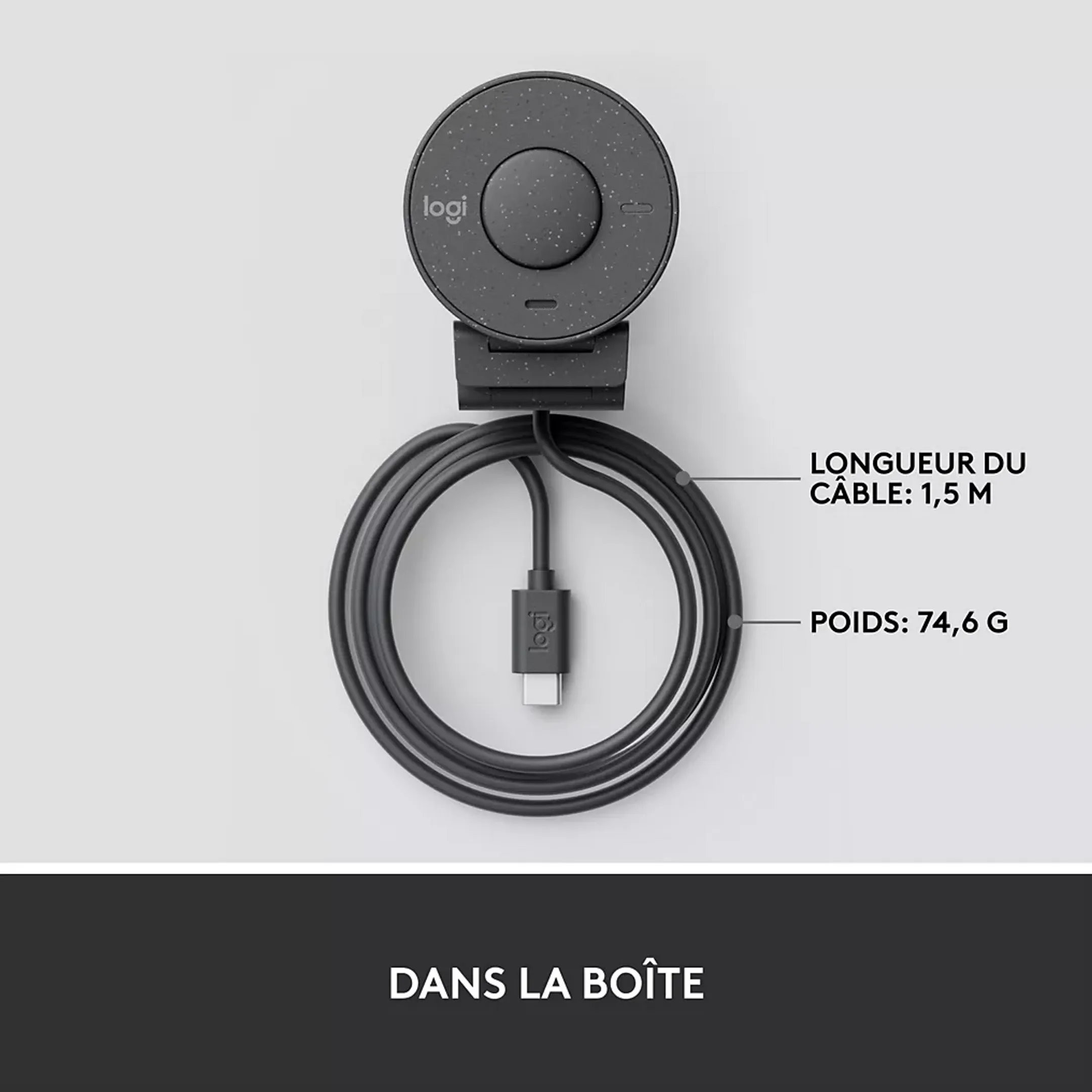 Logitech Webcam FHD Brio 300 - Noir image