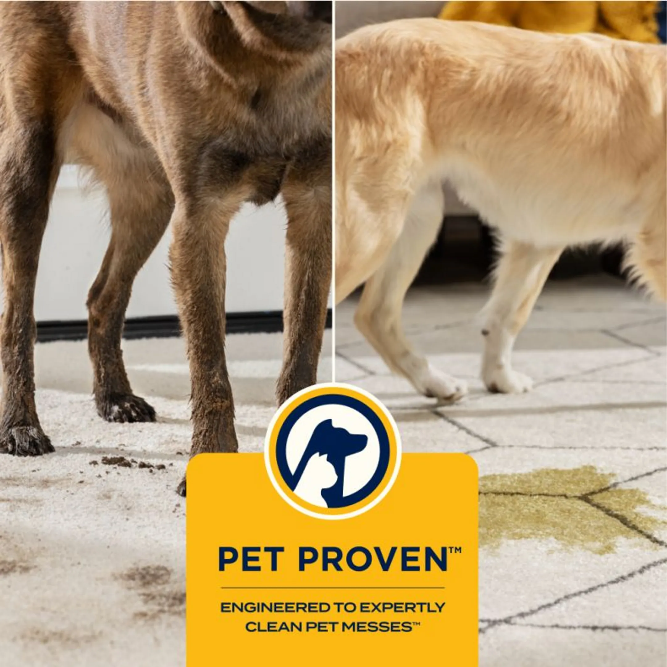 Bissell Nettoyeur de tapis SpotClean C9 Pro image