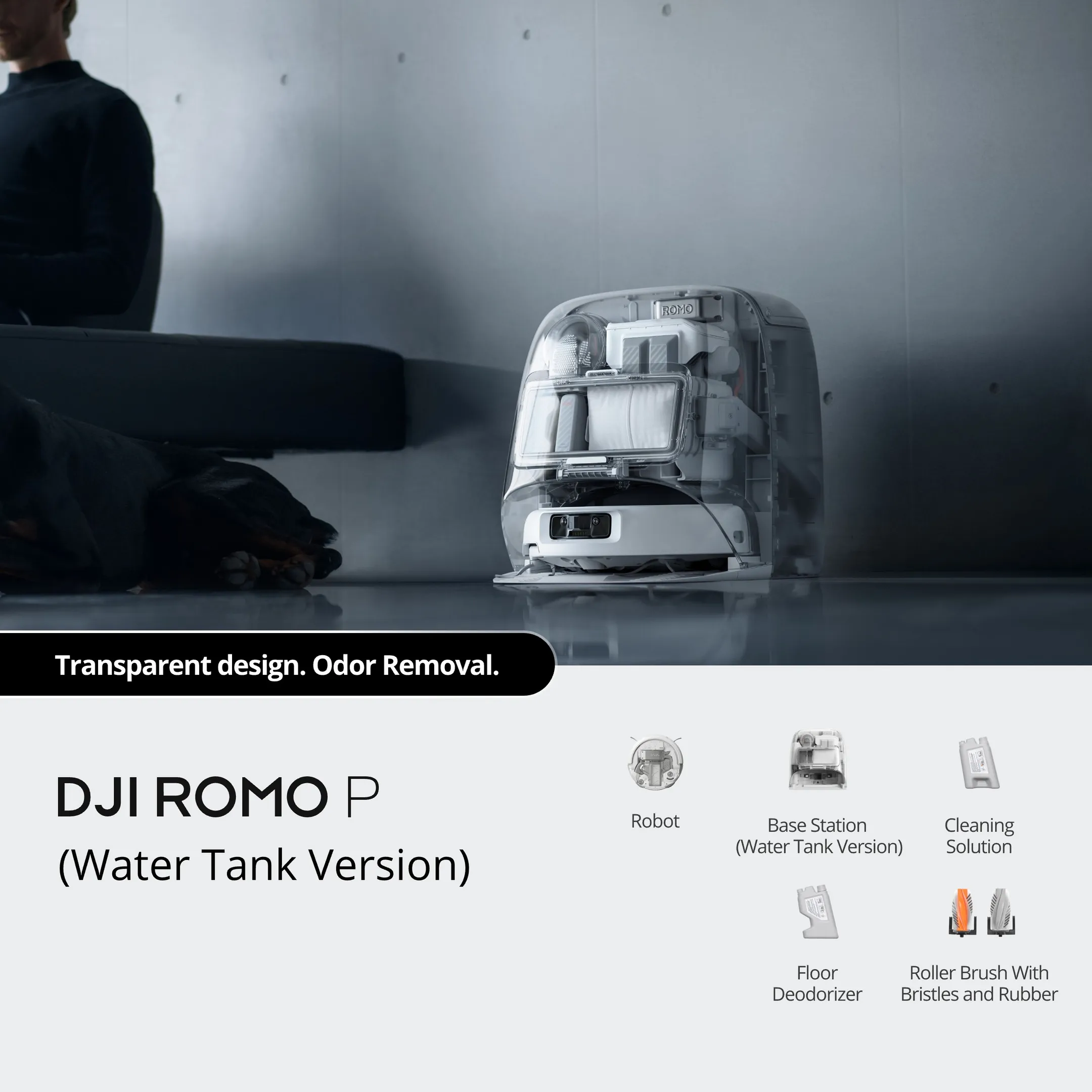 DJI Robot vacuum cleaner and mop Romo P image
