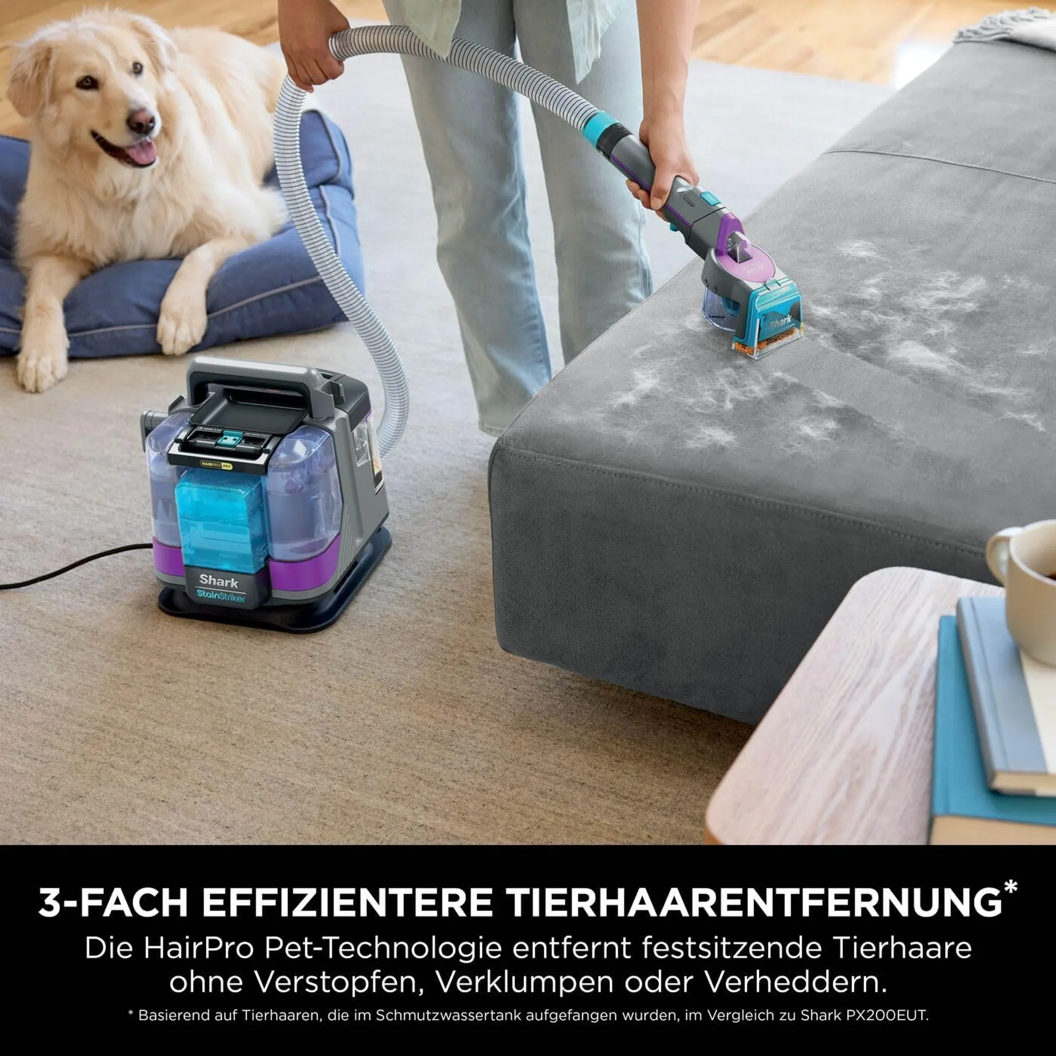 Shark Teppichreiniger StainStriker HairPro Pet PX250EUT image