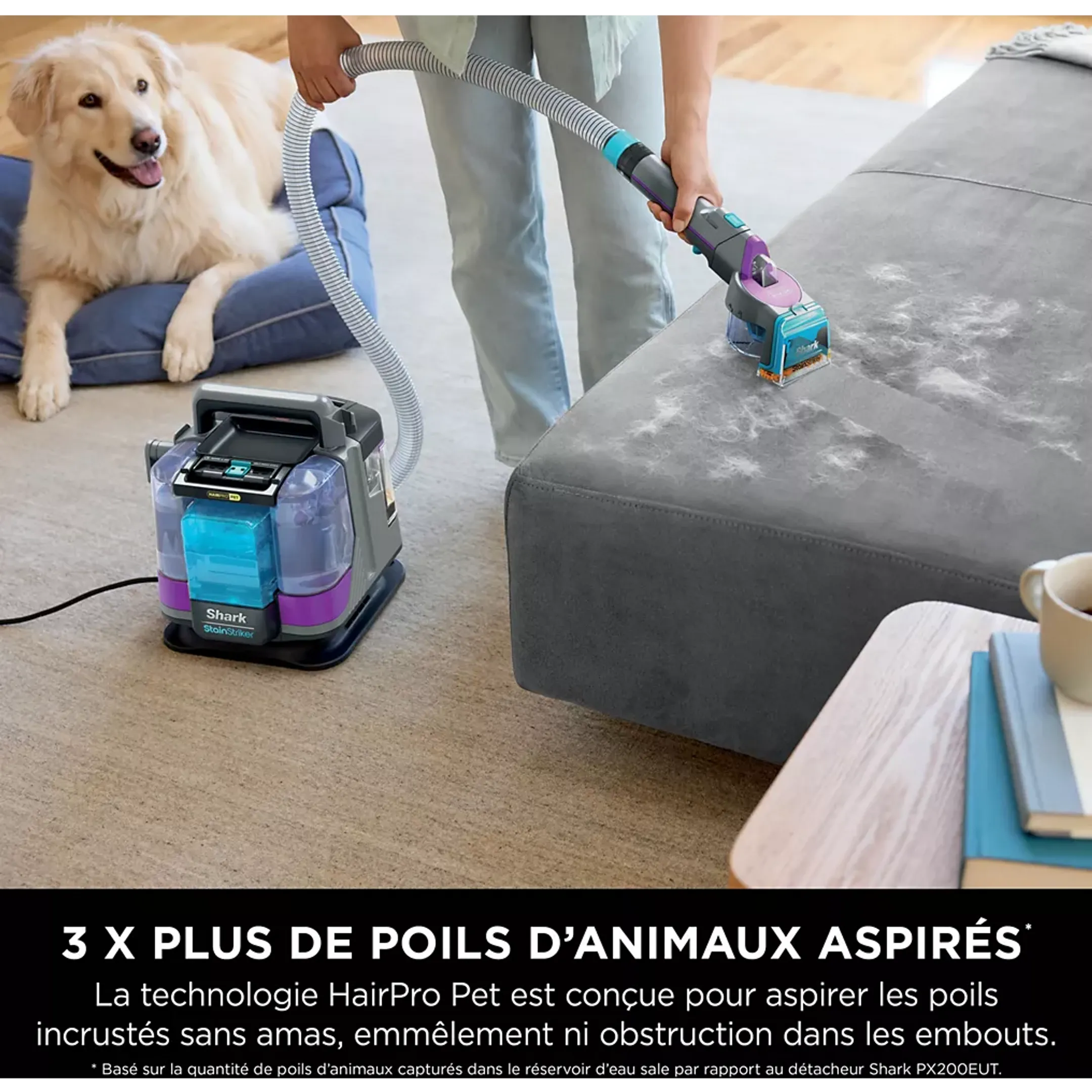 Shark Nettoyeur de tapis StainStriker HairPro Pet PX250EUT image