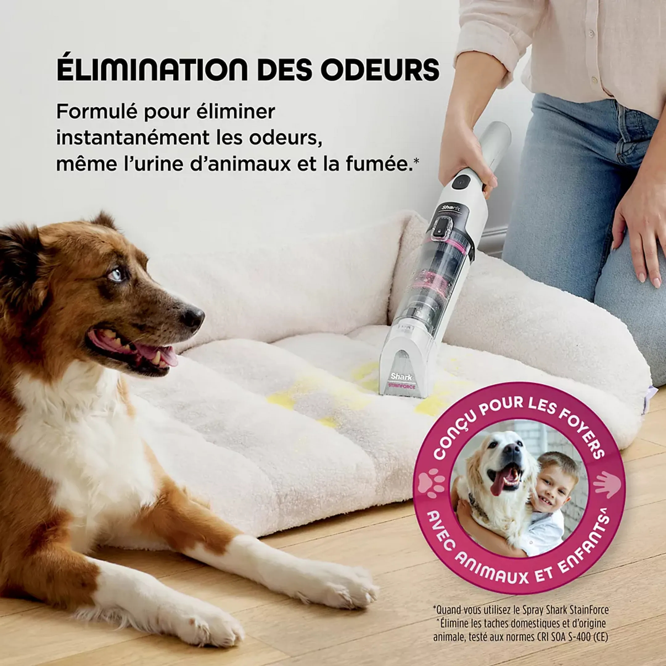 Shark Nettoyeur de tapis StainForce HX100EUT image