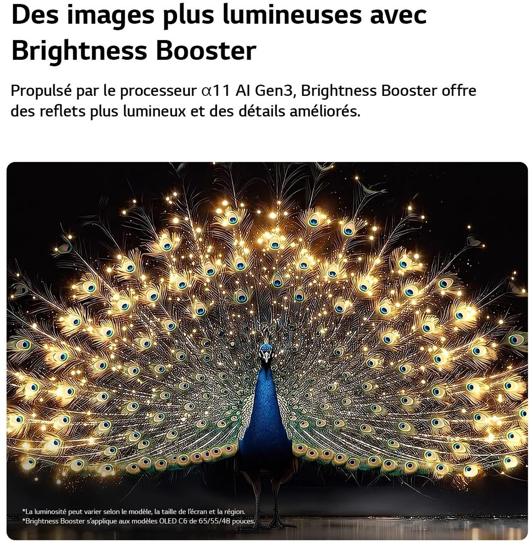 TV OLED evo AI 4K OLED48C69LB 48 pouces