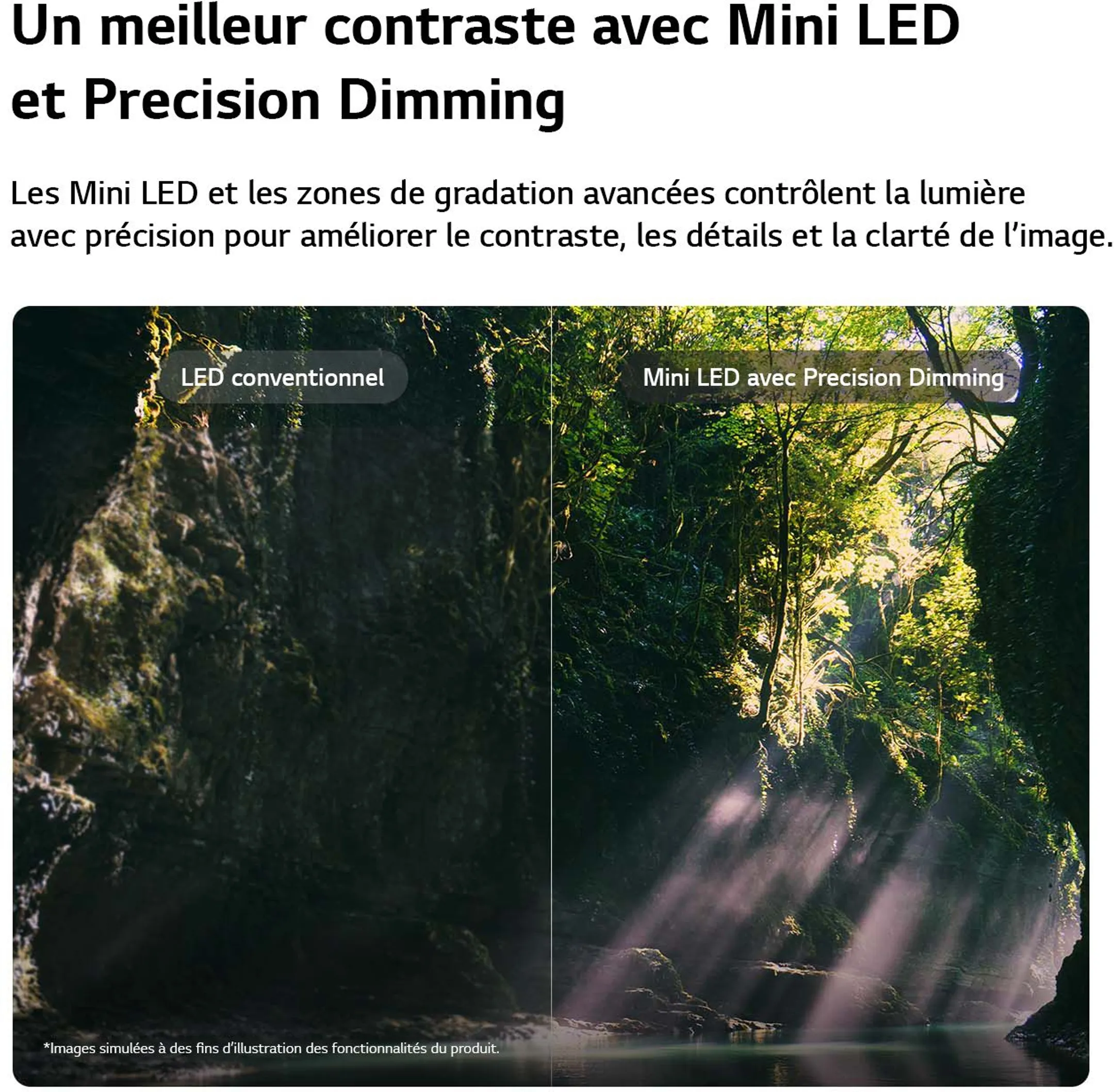 TV QNED evo AI Mini LED 4K 55QNED86B6 55 pouces