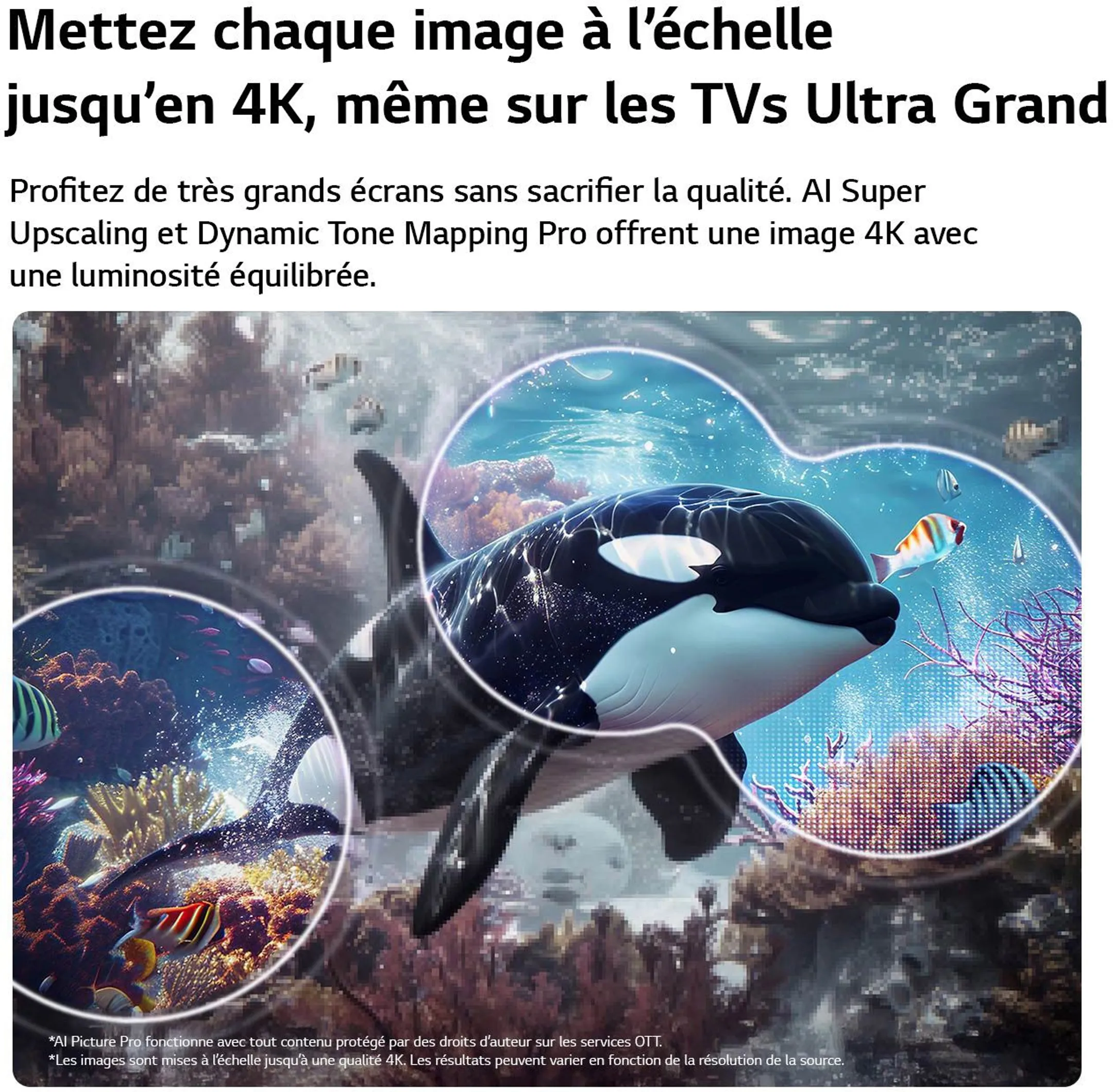 TV QNED AI Mini LED 4K 65QNED72B6B 65 pouces