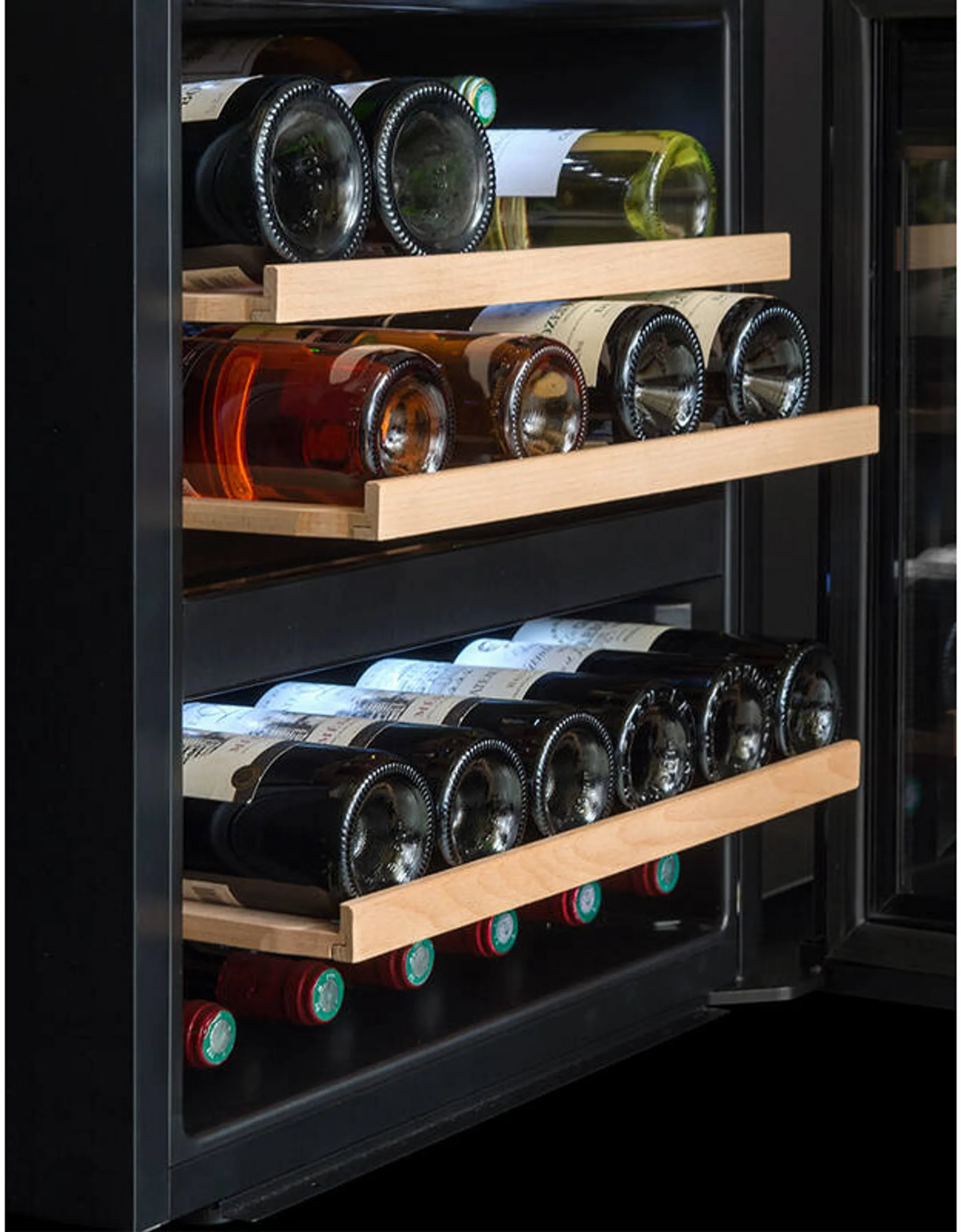 Built-in wine cooler LSBI36BDZ2 36 bottles