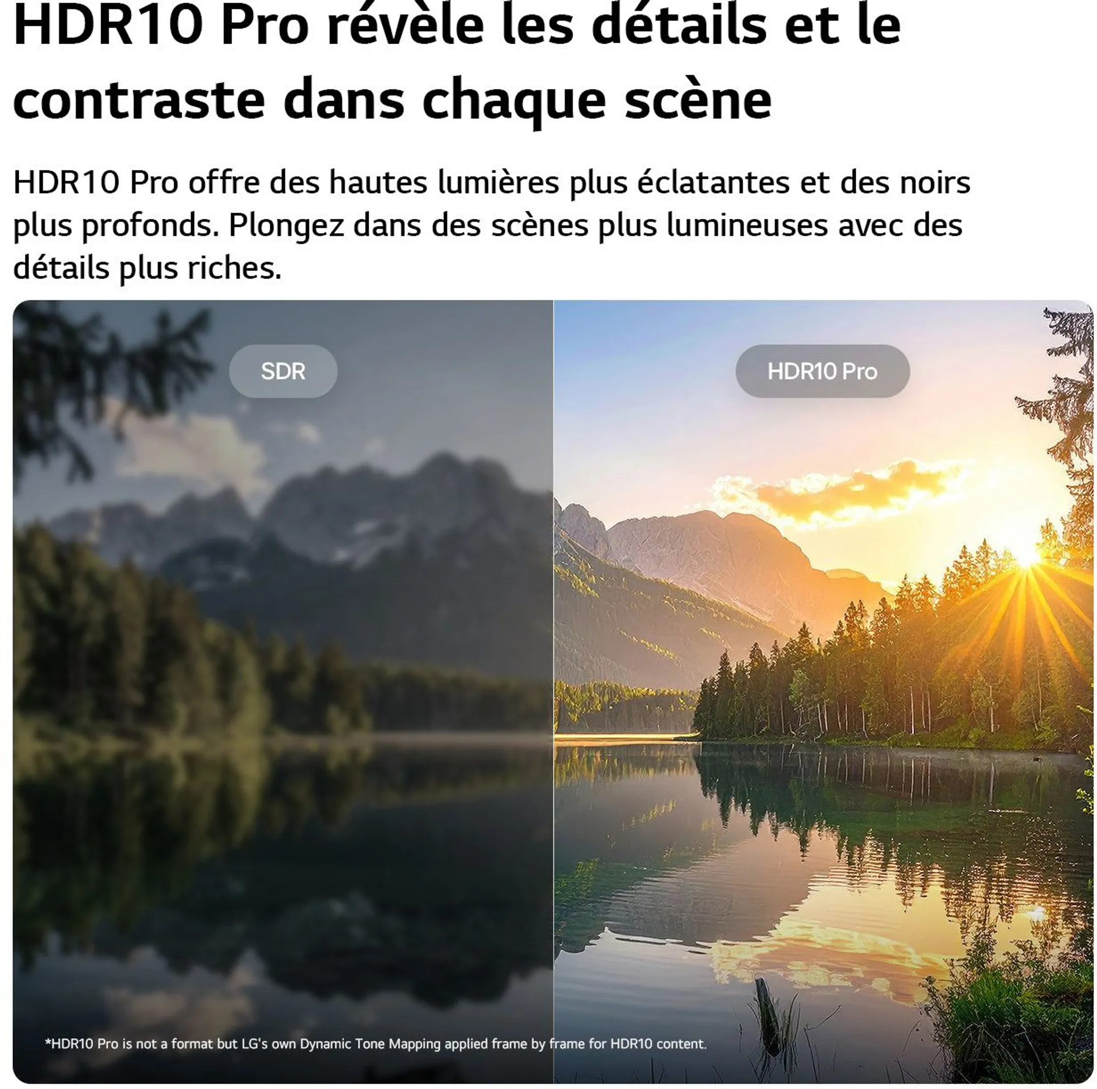 TV Smart TV AI FHD 43LB65006LA 43 pouces