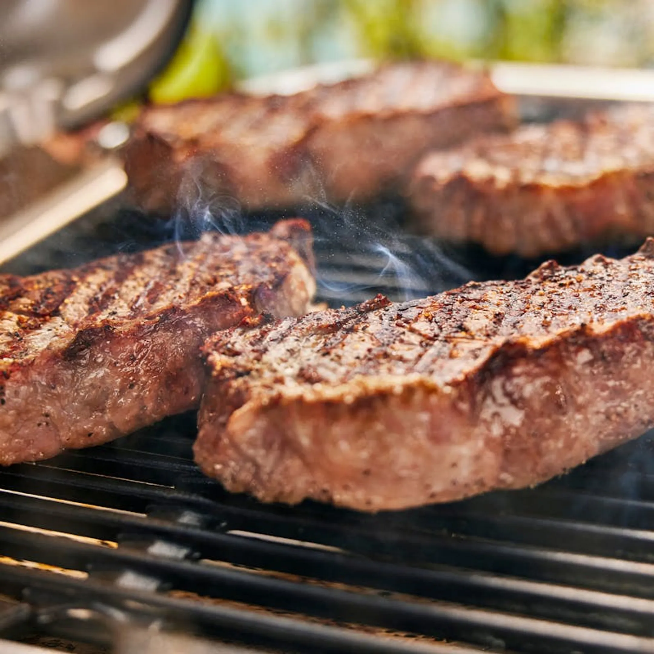 Electric barbecue LUMIN with stand