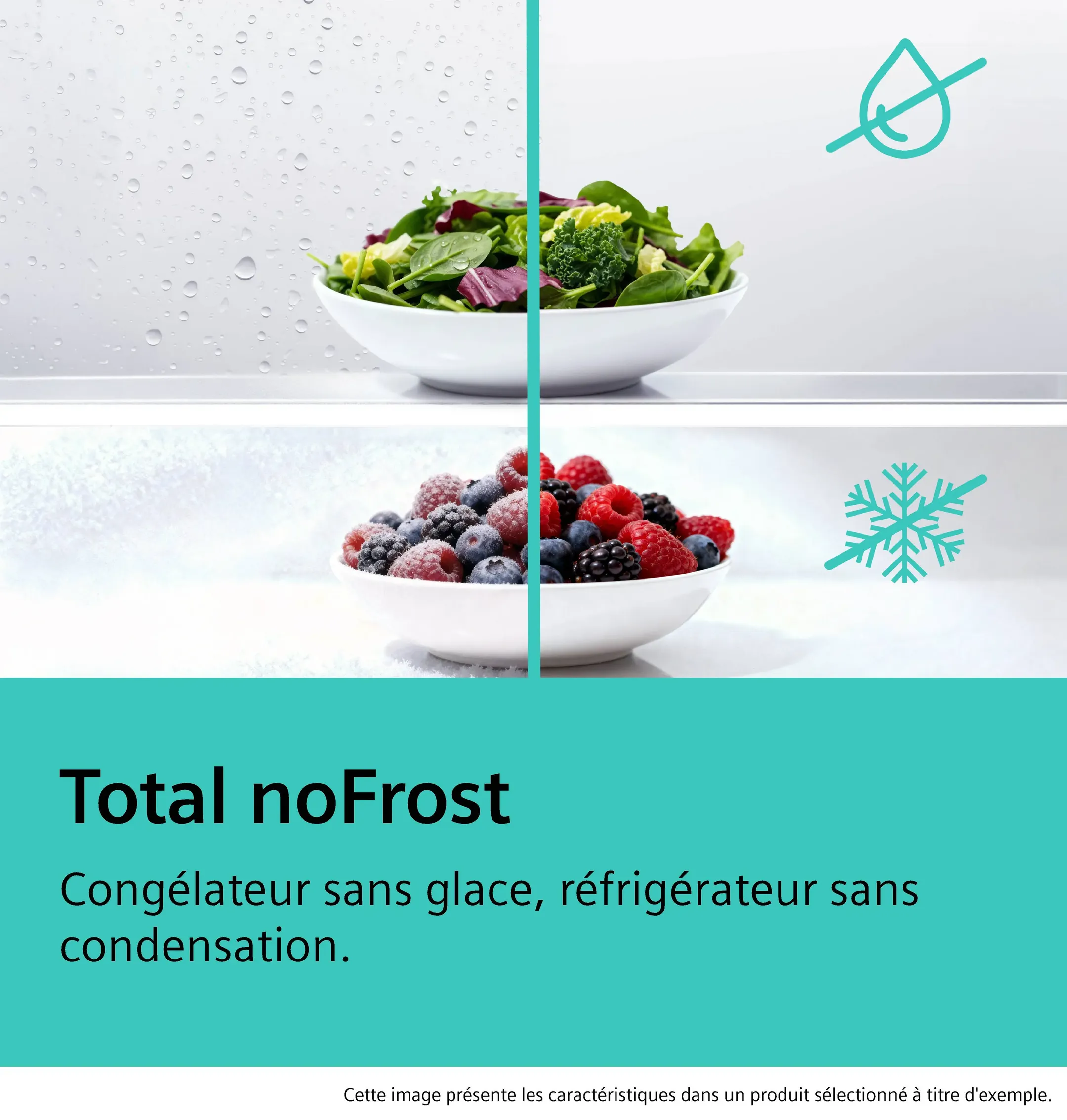 Combi frigo congélateur iQ300 KG39NVIBG
