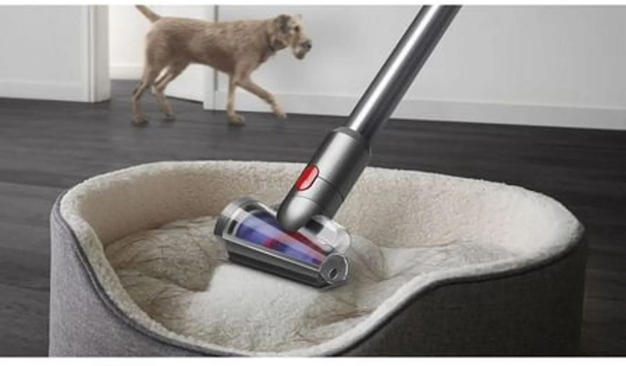 Stick Vacuum Cleaner V12 Detect Absolute