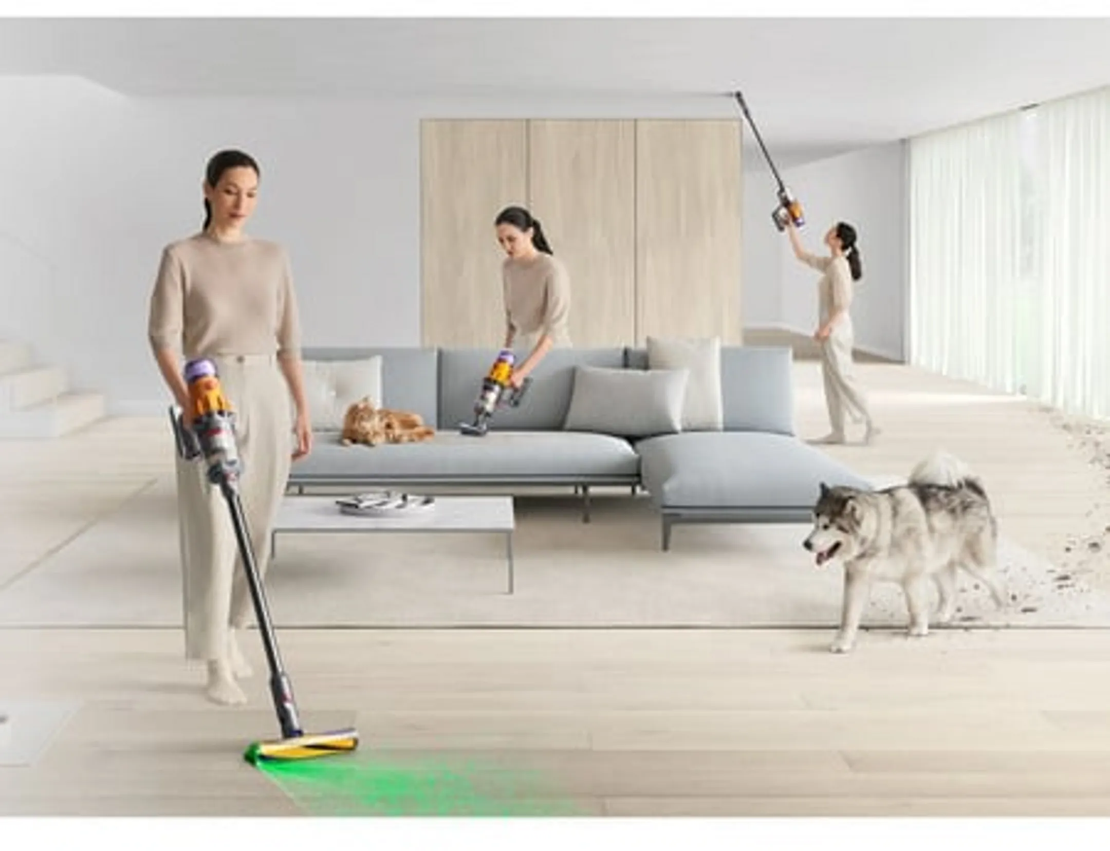 Stick Vacuum Cleaner V12 Detect Absolute