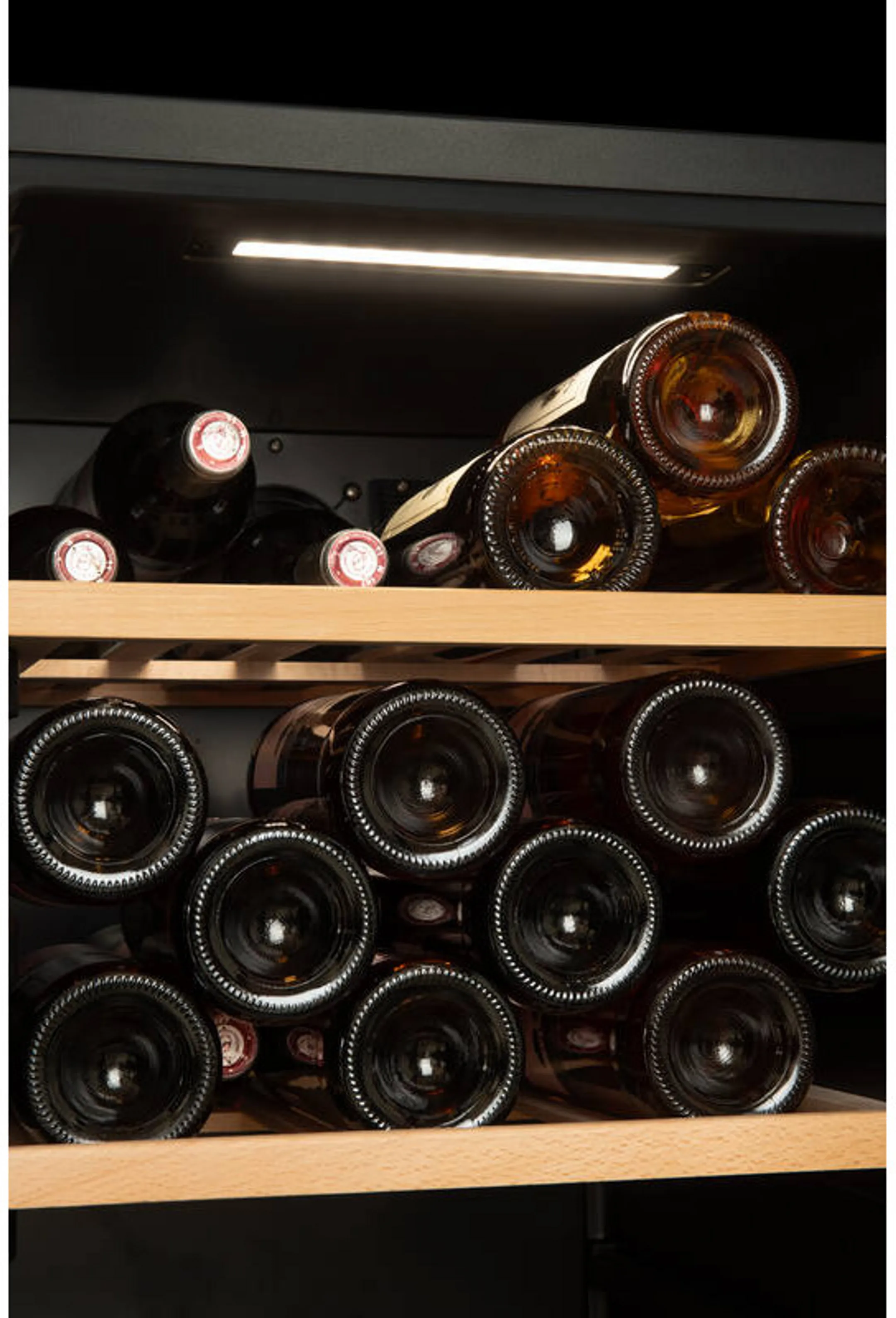 Cave à vin de service SMART95DZ 95 bouteilles