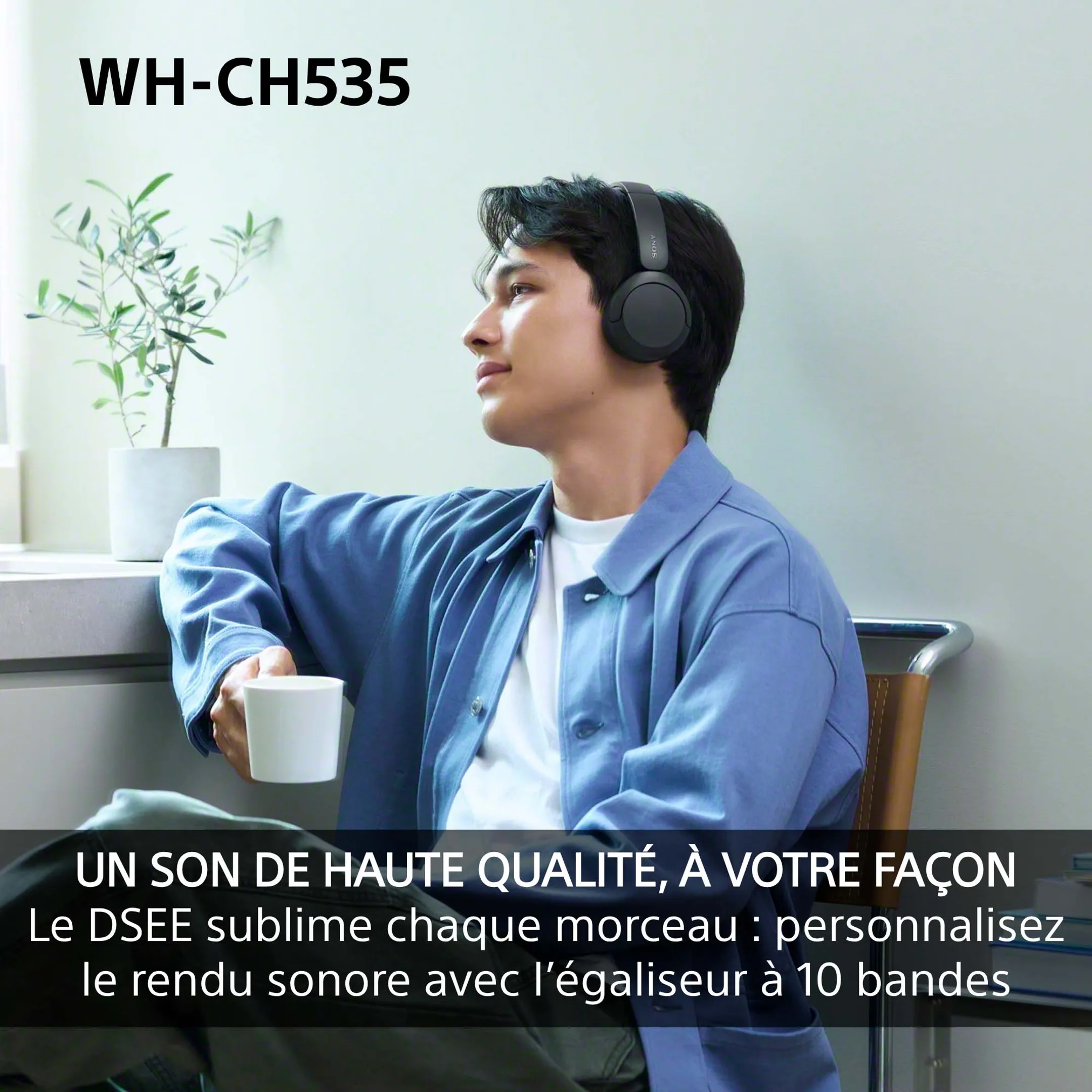 Wireless Headphones WH-CH535 Red