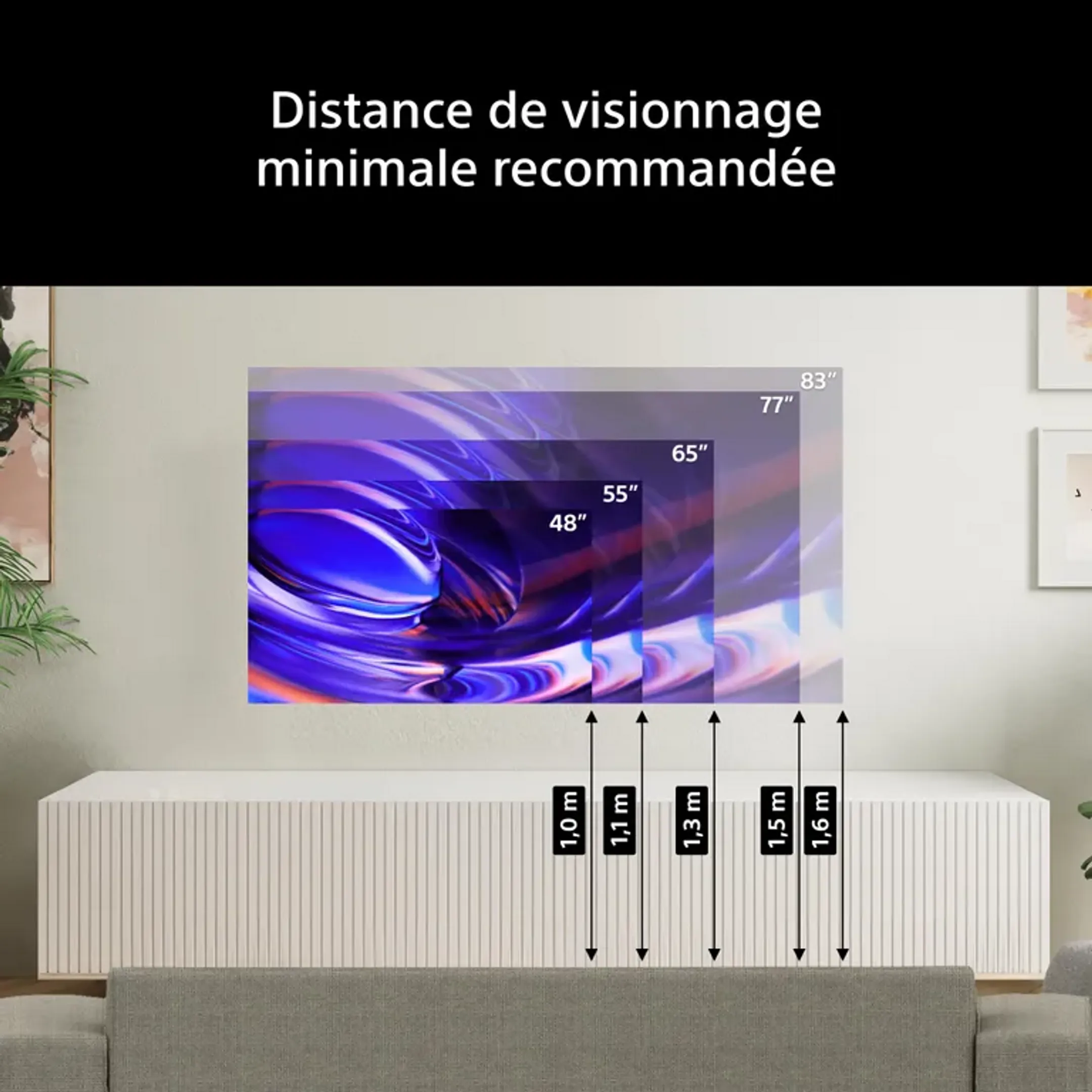OLED TV 4K K65A69PB.CEI Bravia 6 - 65 pouces