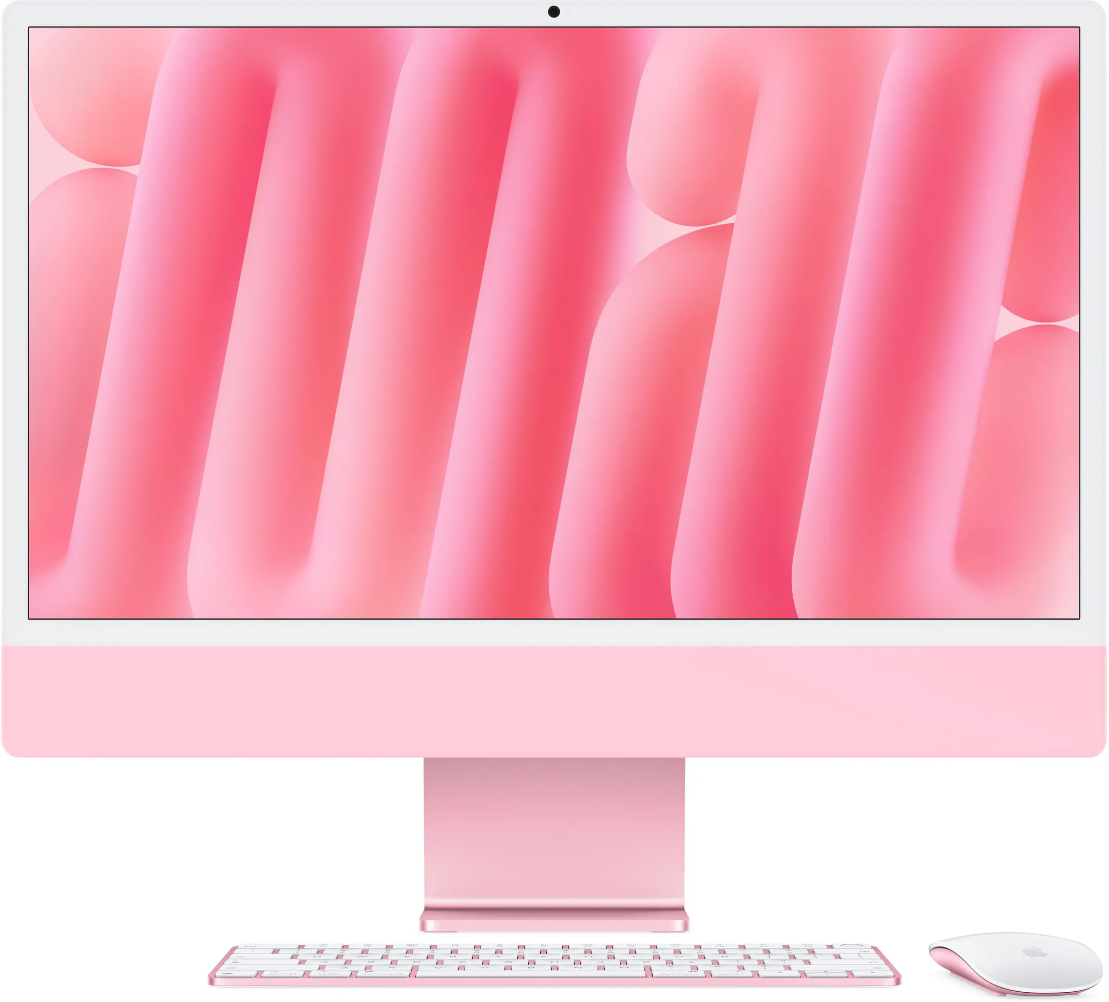 Rosa